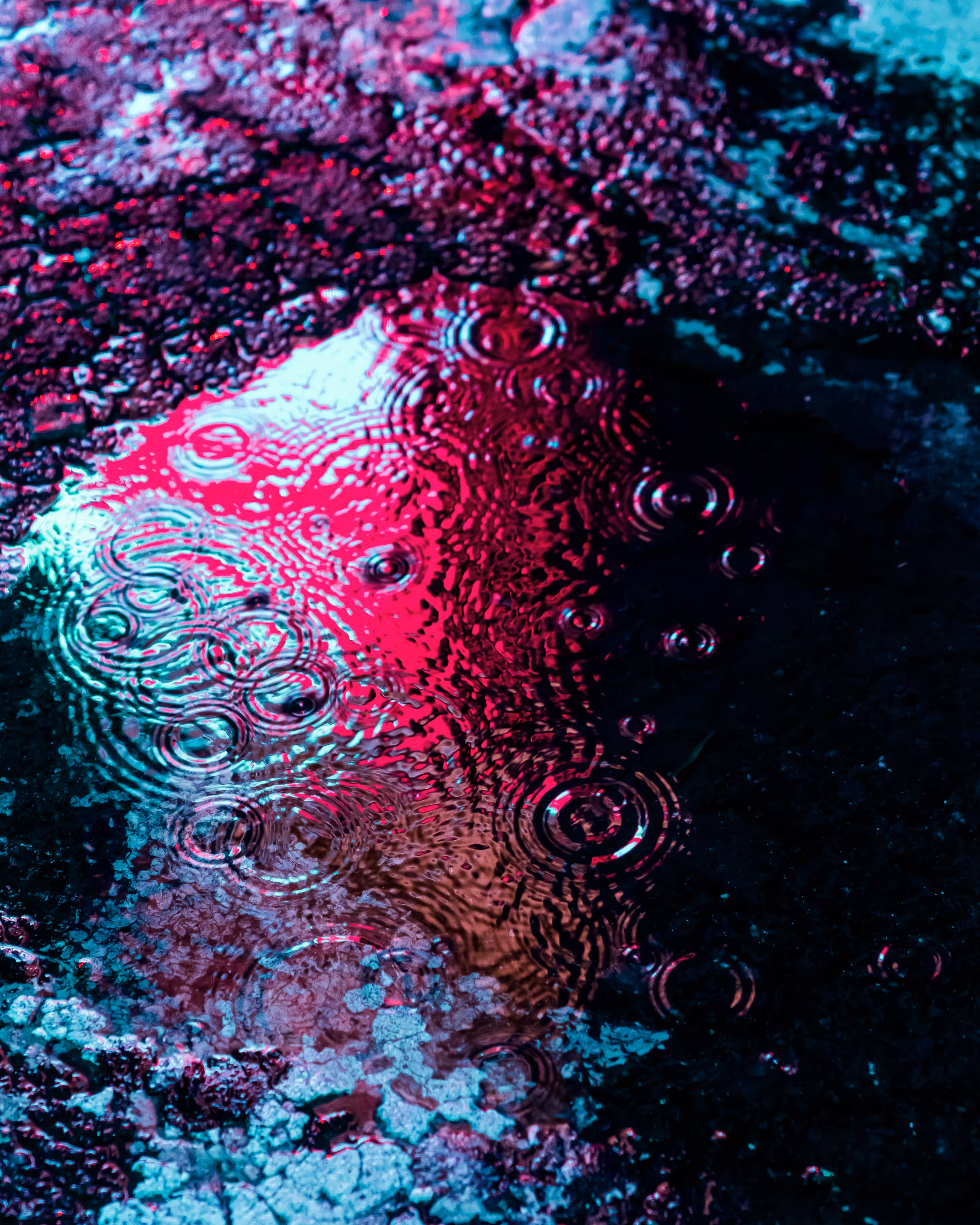 DRIP DROP