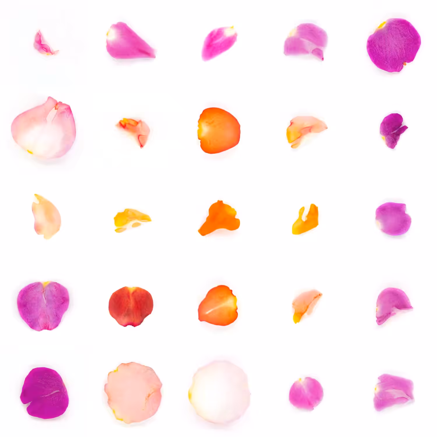 Infinite Petals 5x5#1868