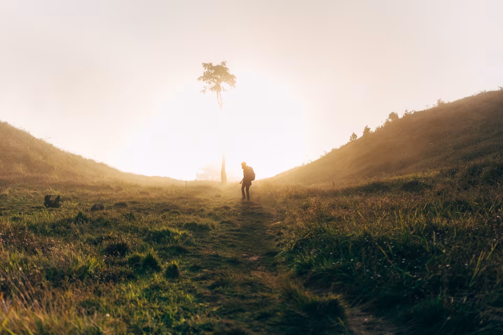 The Trees and The Life #007-Prau