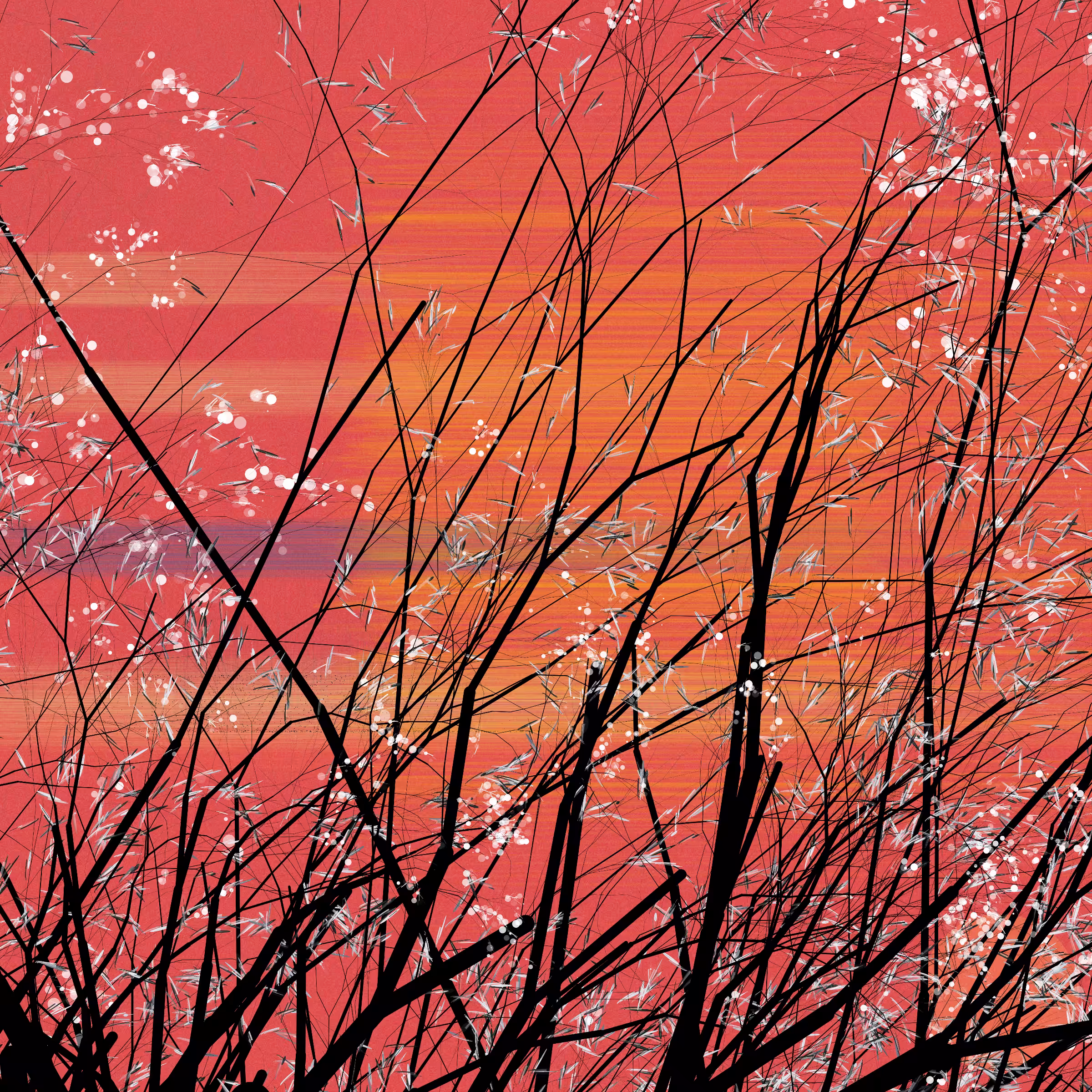conversation with the wind #480