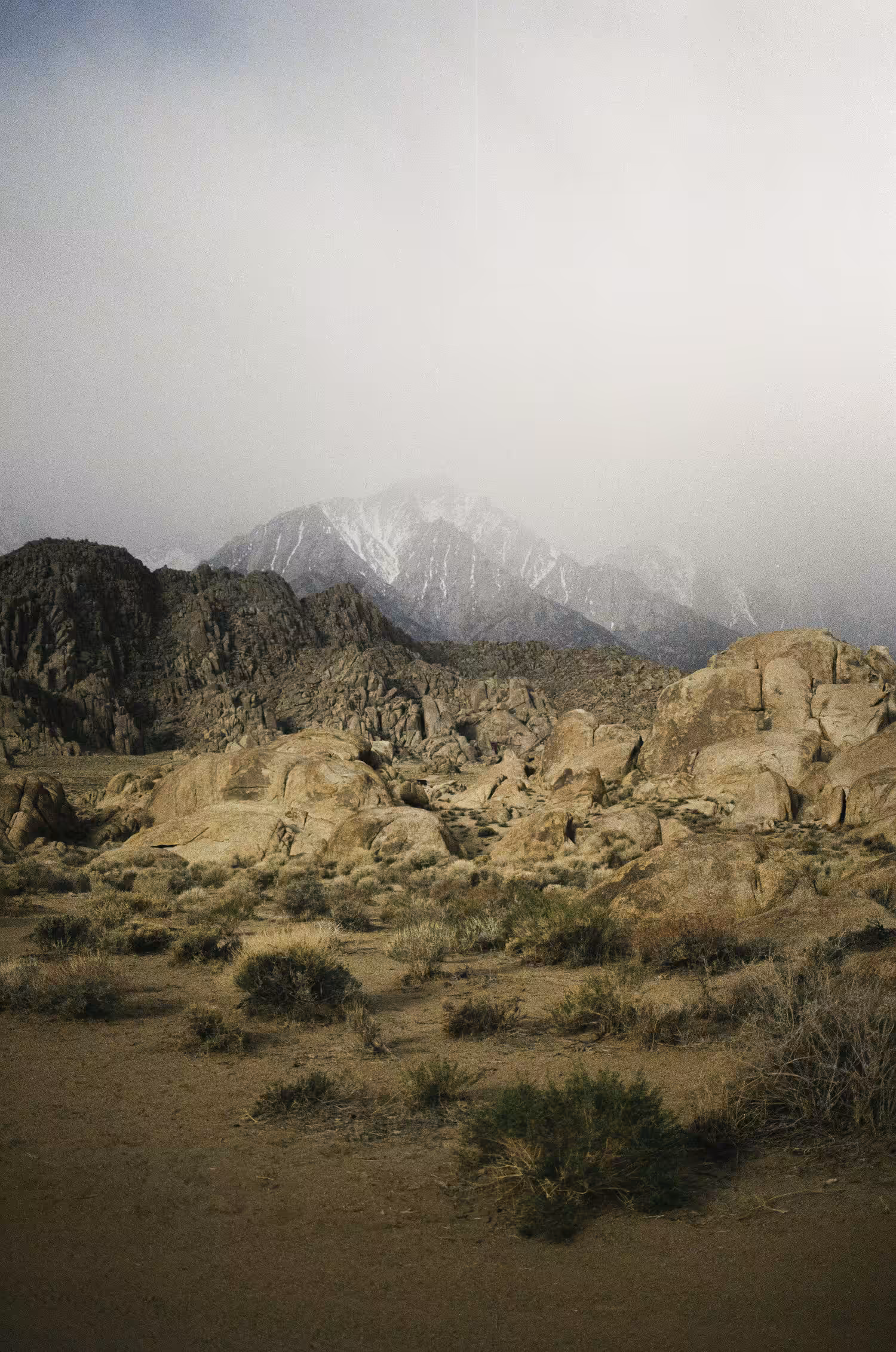 Moments on Film #77