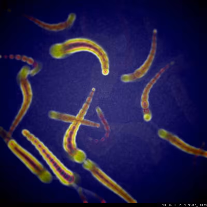 WORMS / Flocking Tribes #36