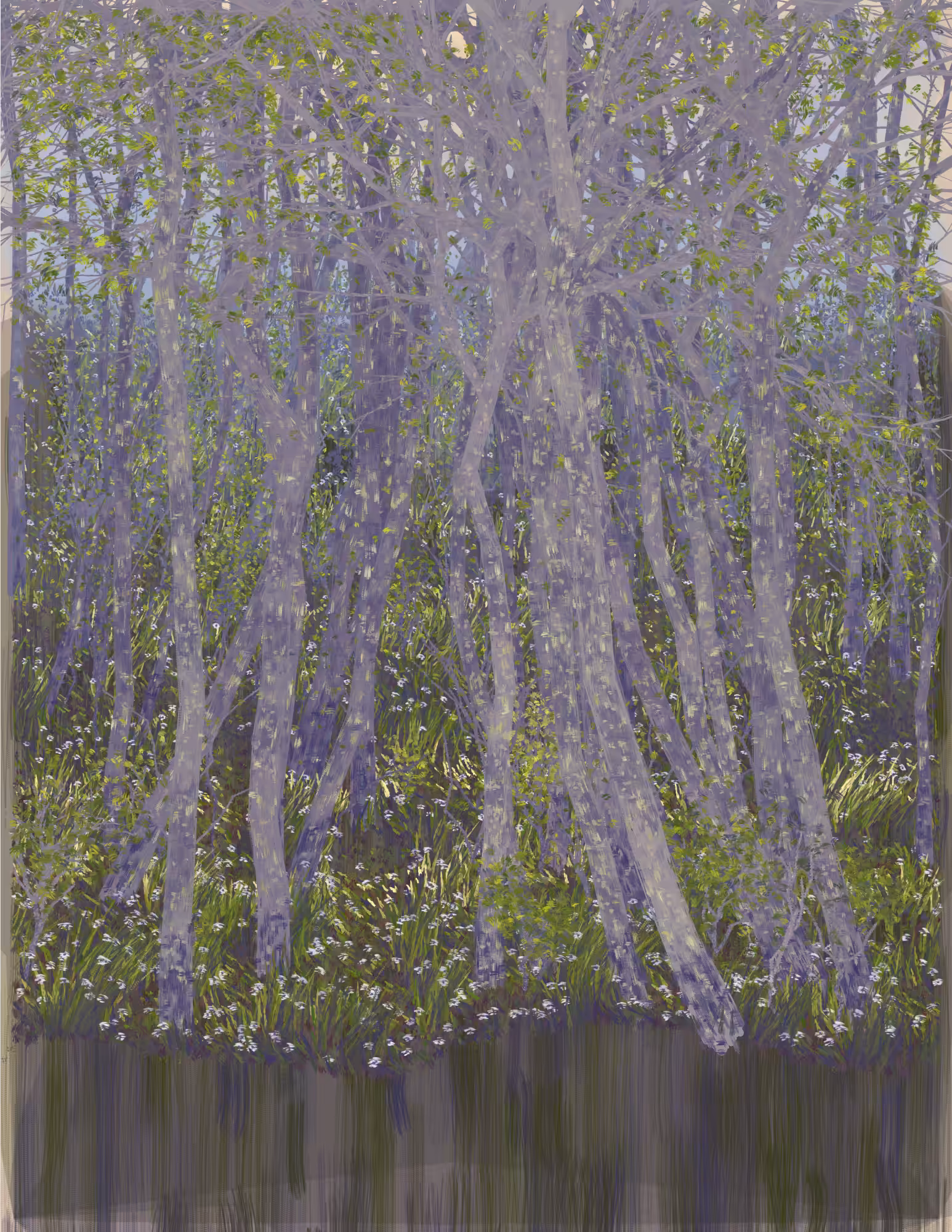 Deep Forest #264