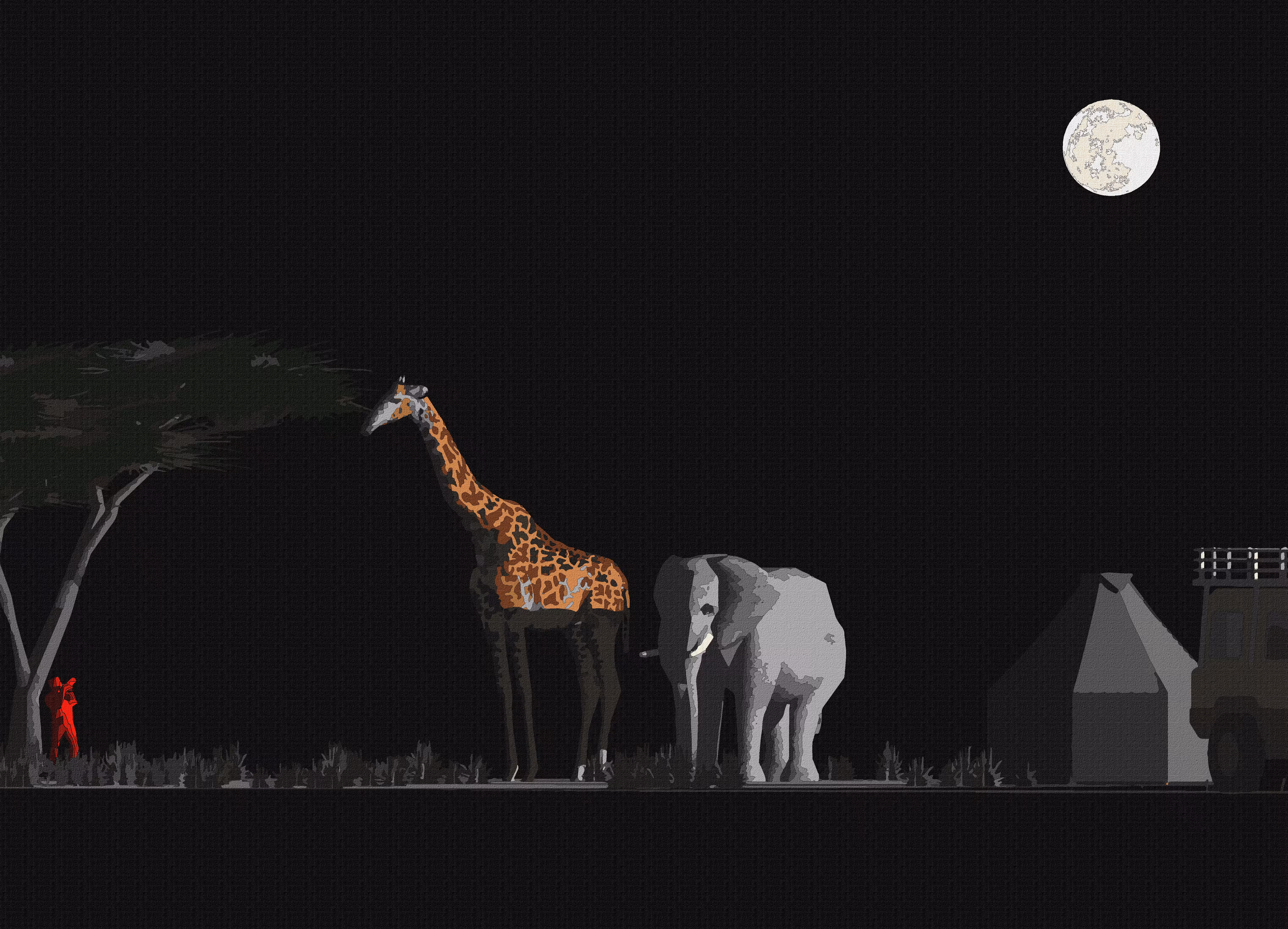 Happy Safari: Starry Night
