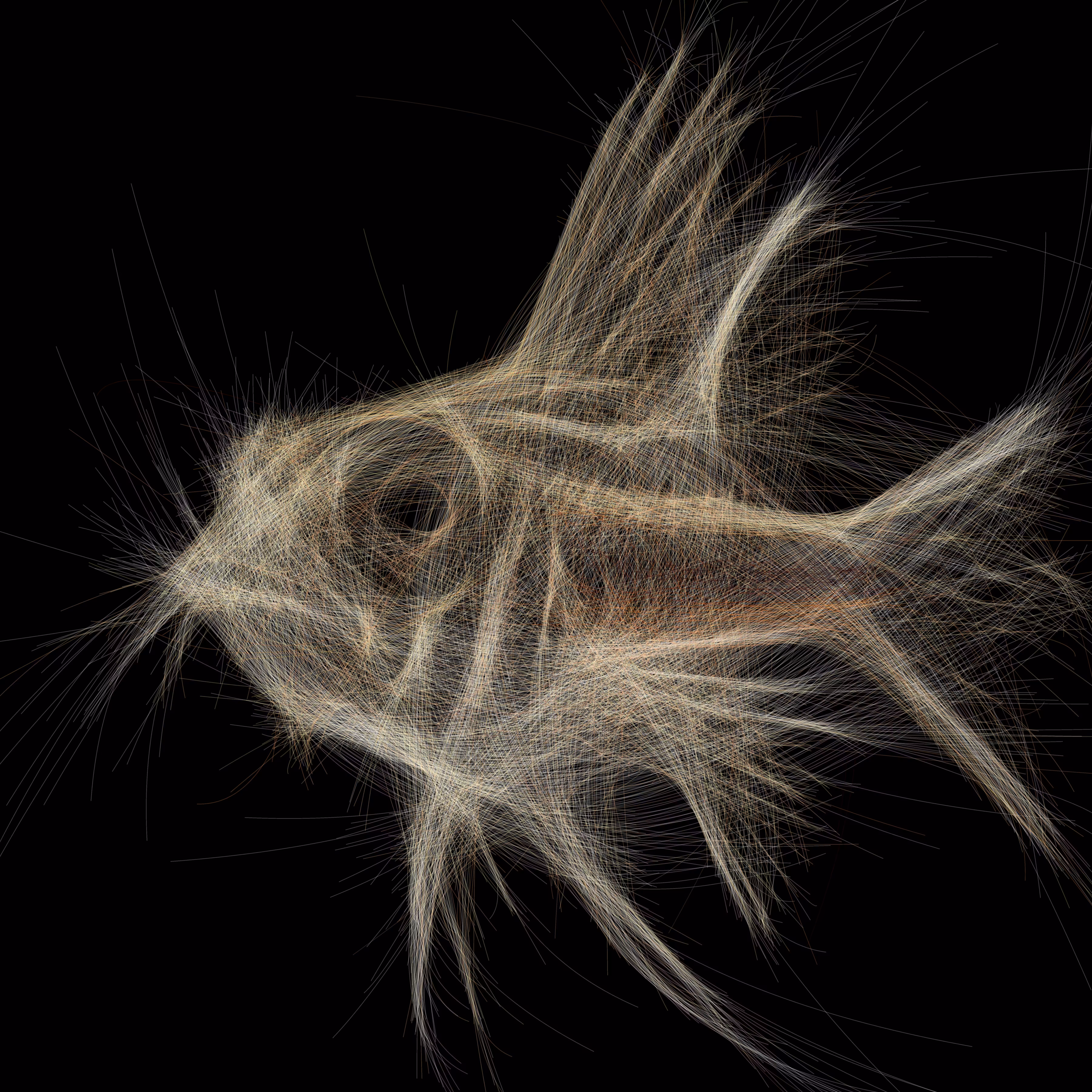 Underwater 83