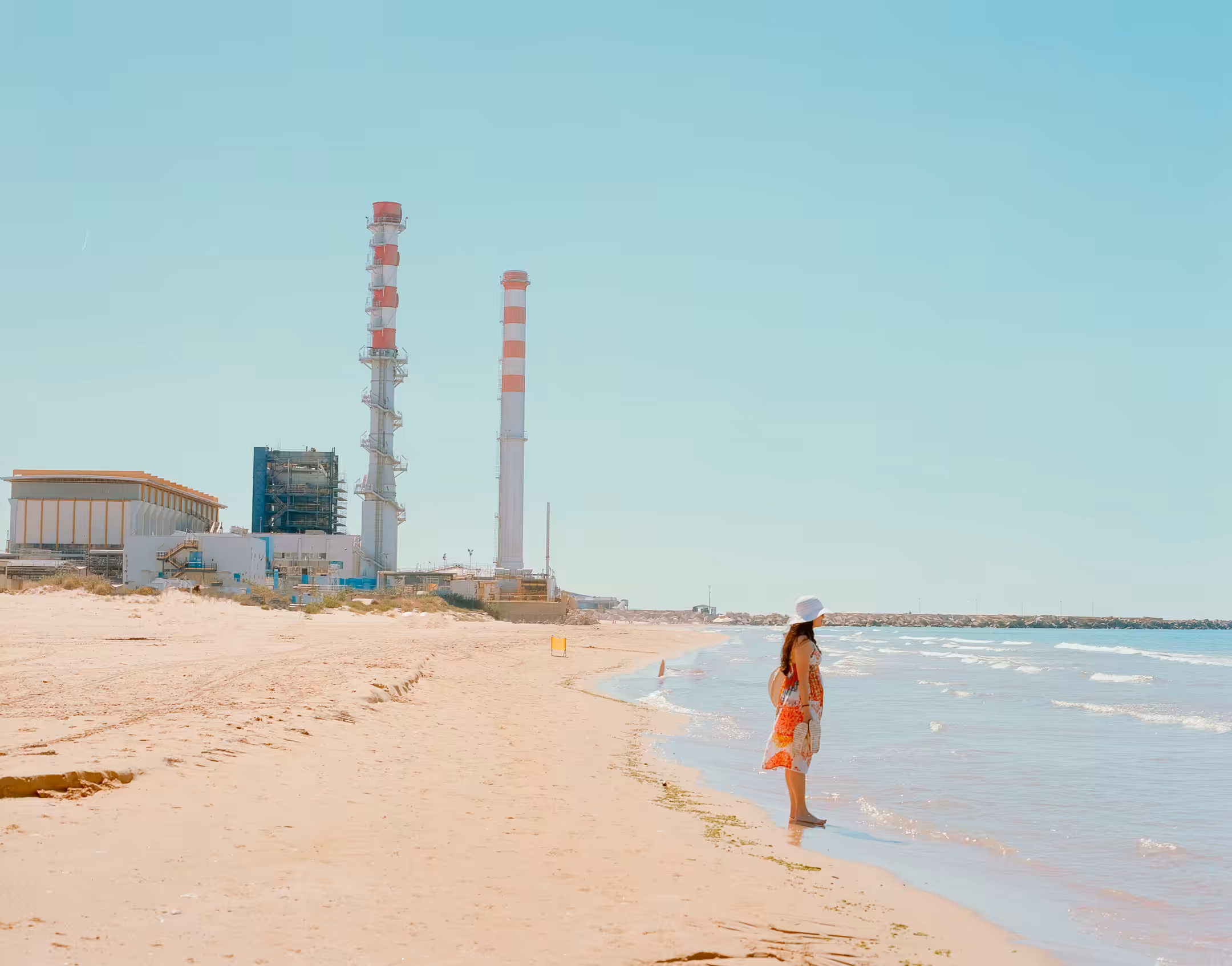 Power Plant Lady