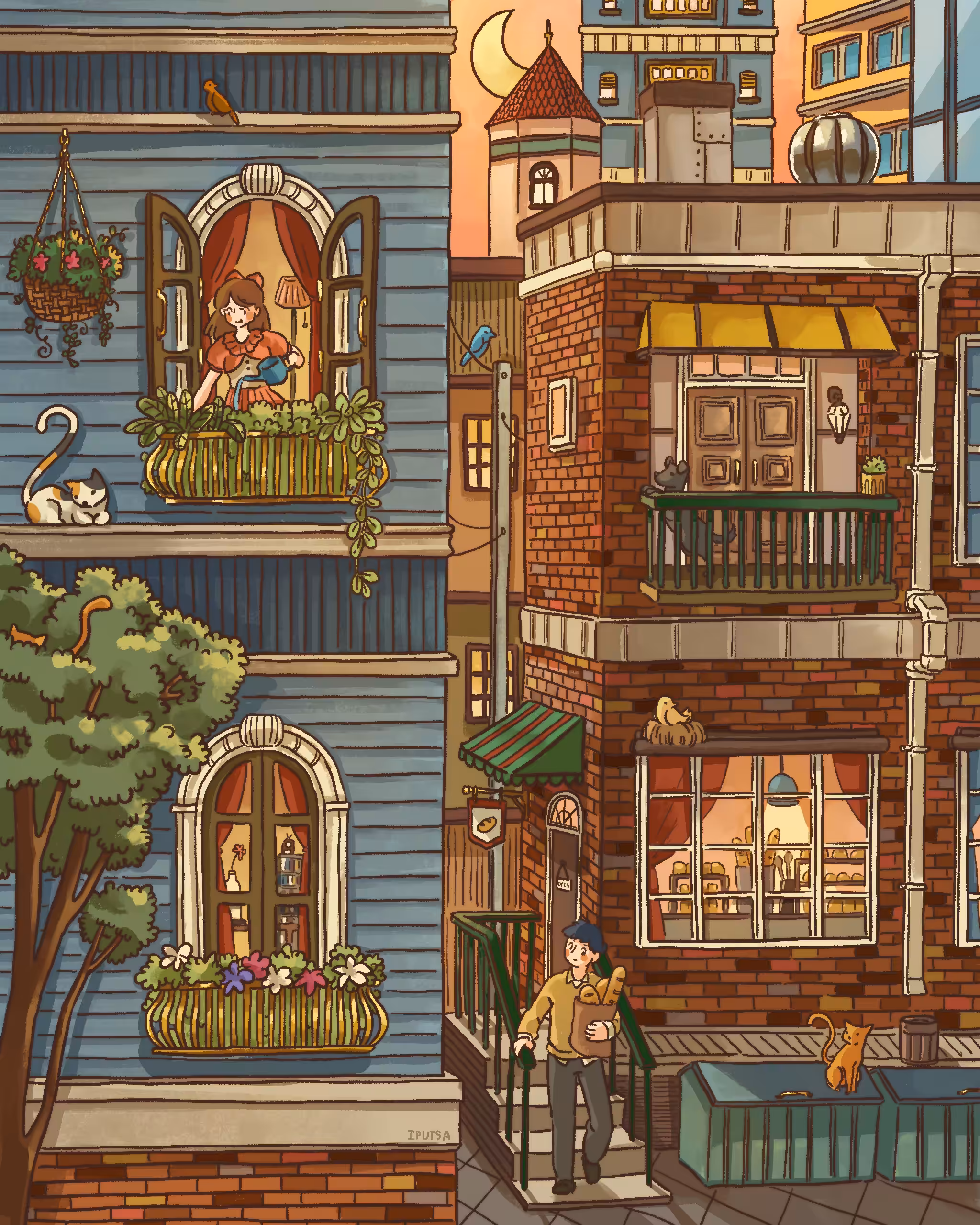 The Neighbor
