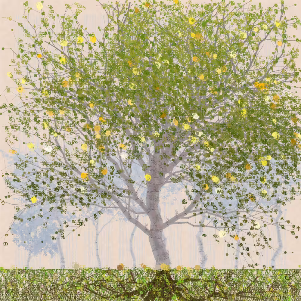 Orchard #334