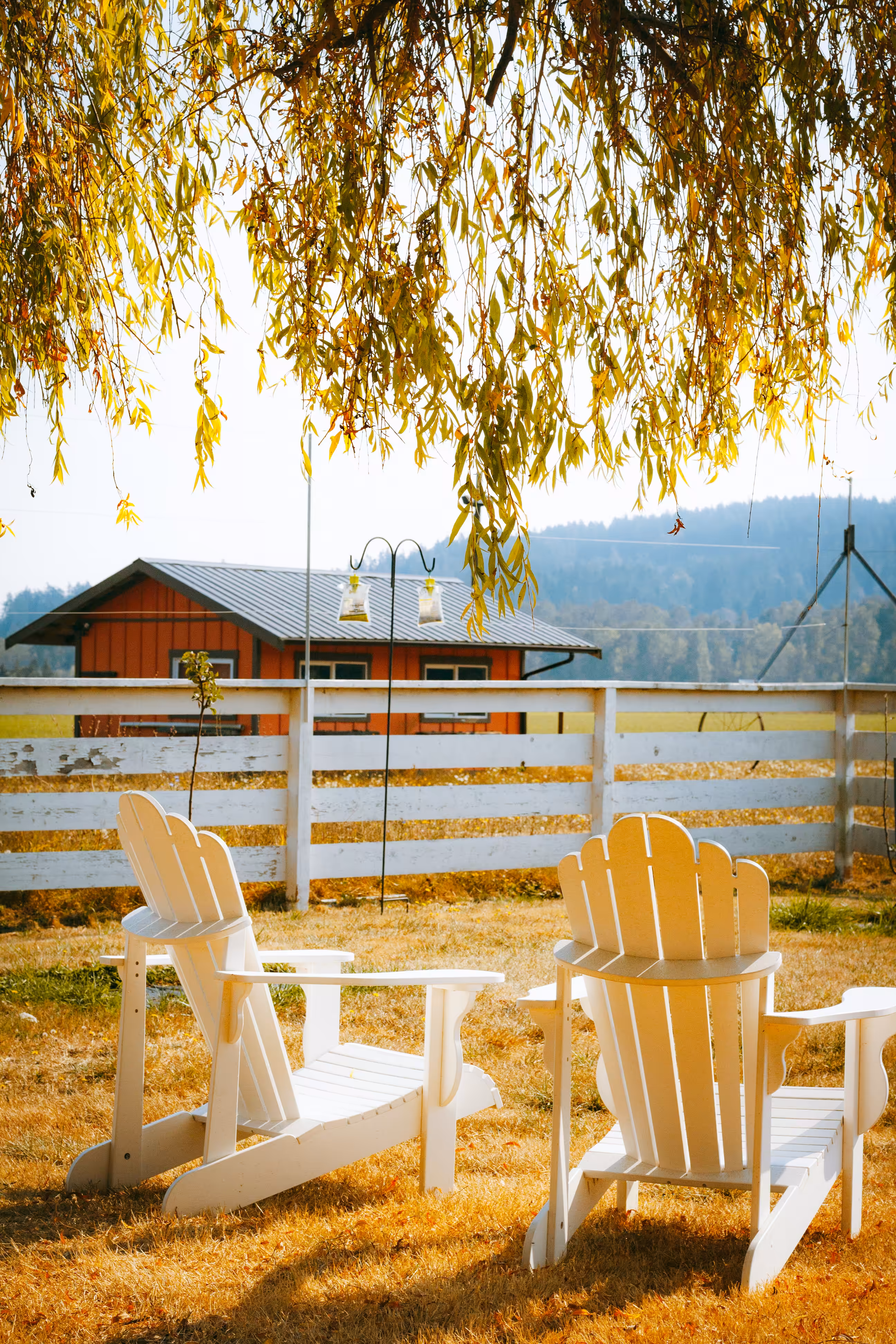 Rodeo posts: you and I