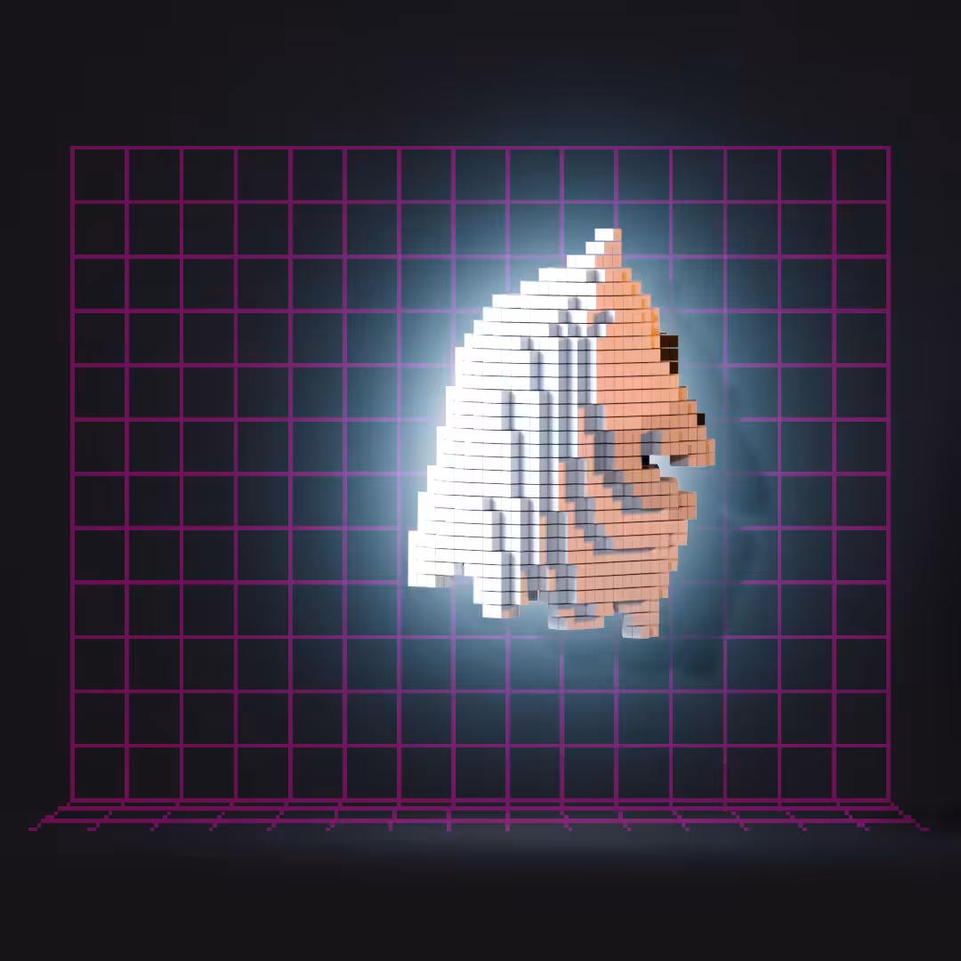 Voxel Eric XX16
