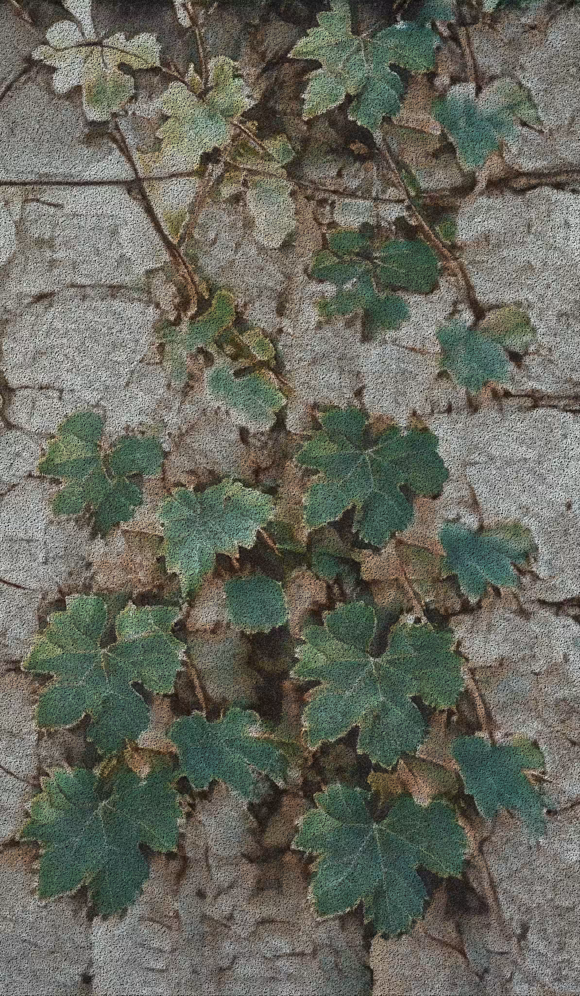 APPARATUS-VITIS: Apparatus Vitis #64