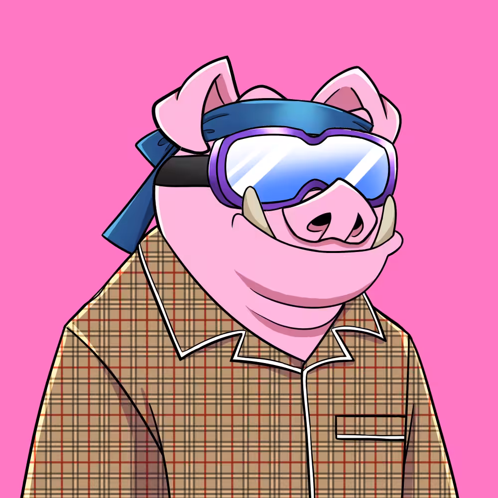Piggie The Explorer #10