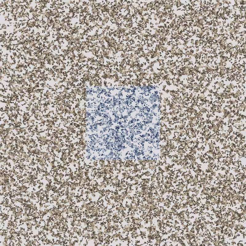 Plains #227