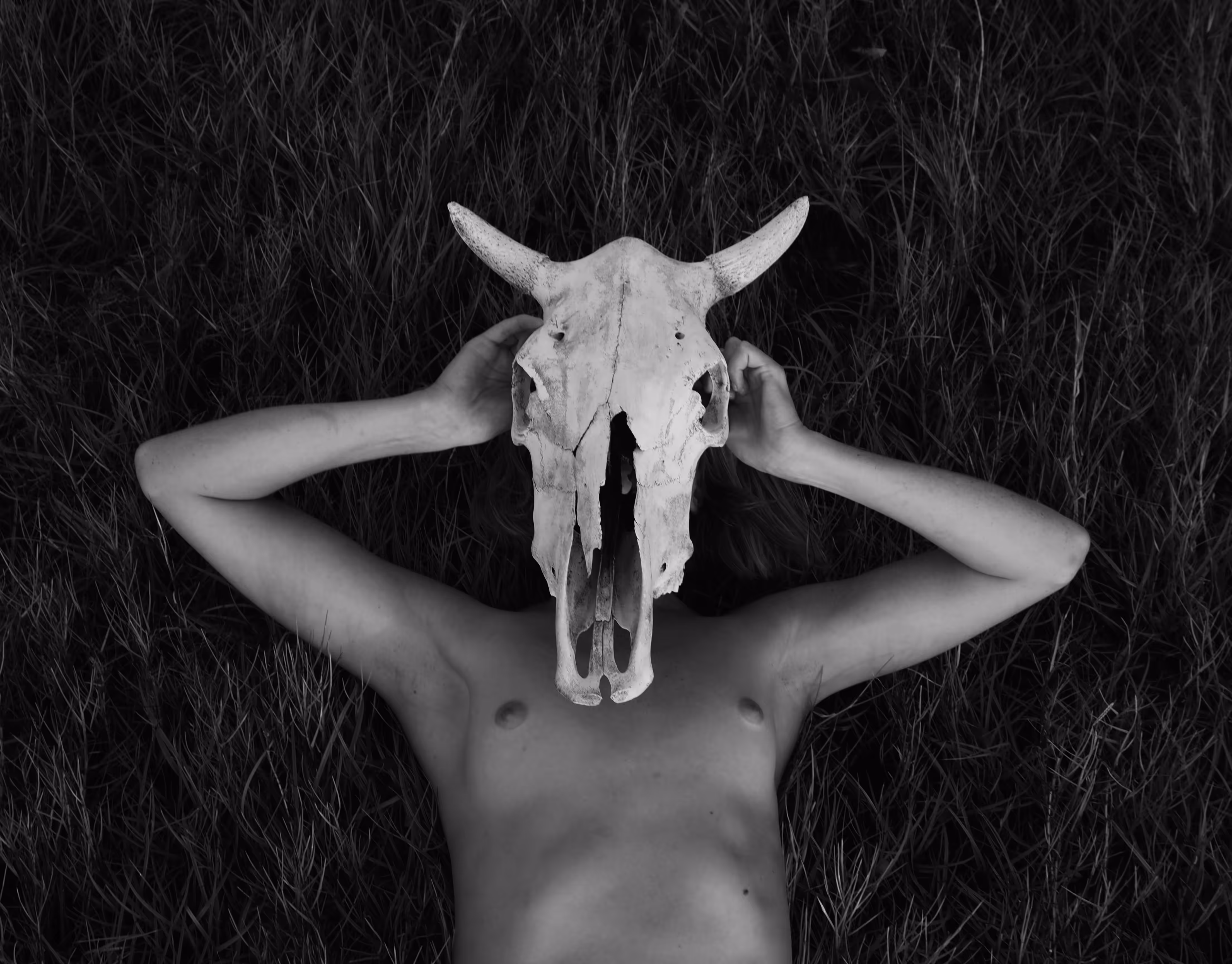 The Lovely Bones