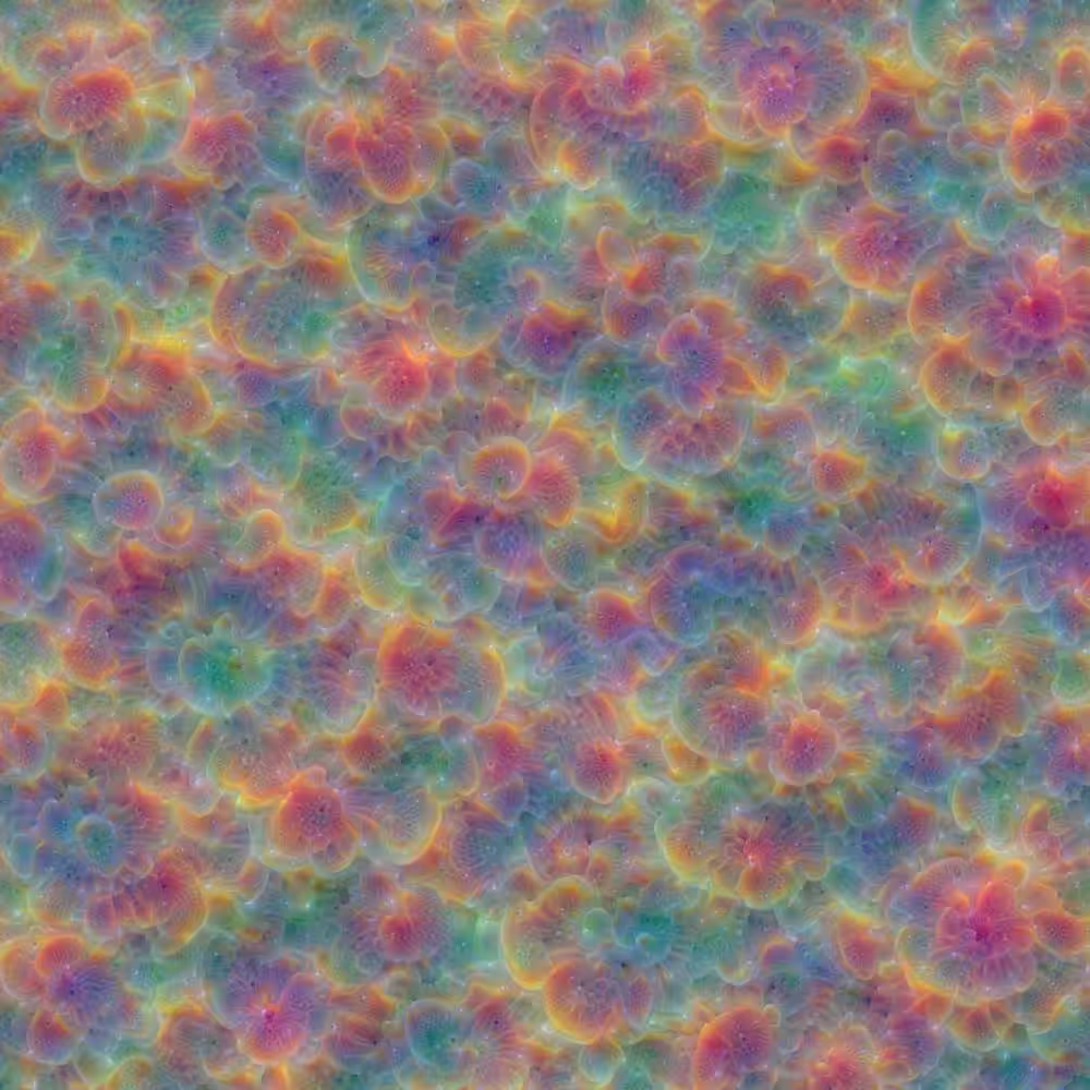 f2 - "Corals", 2015