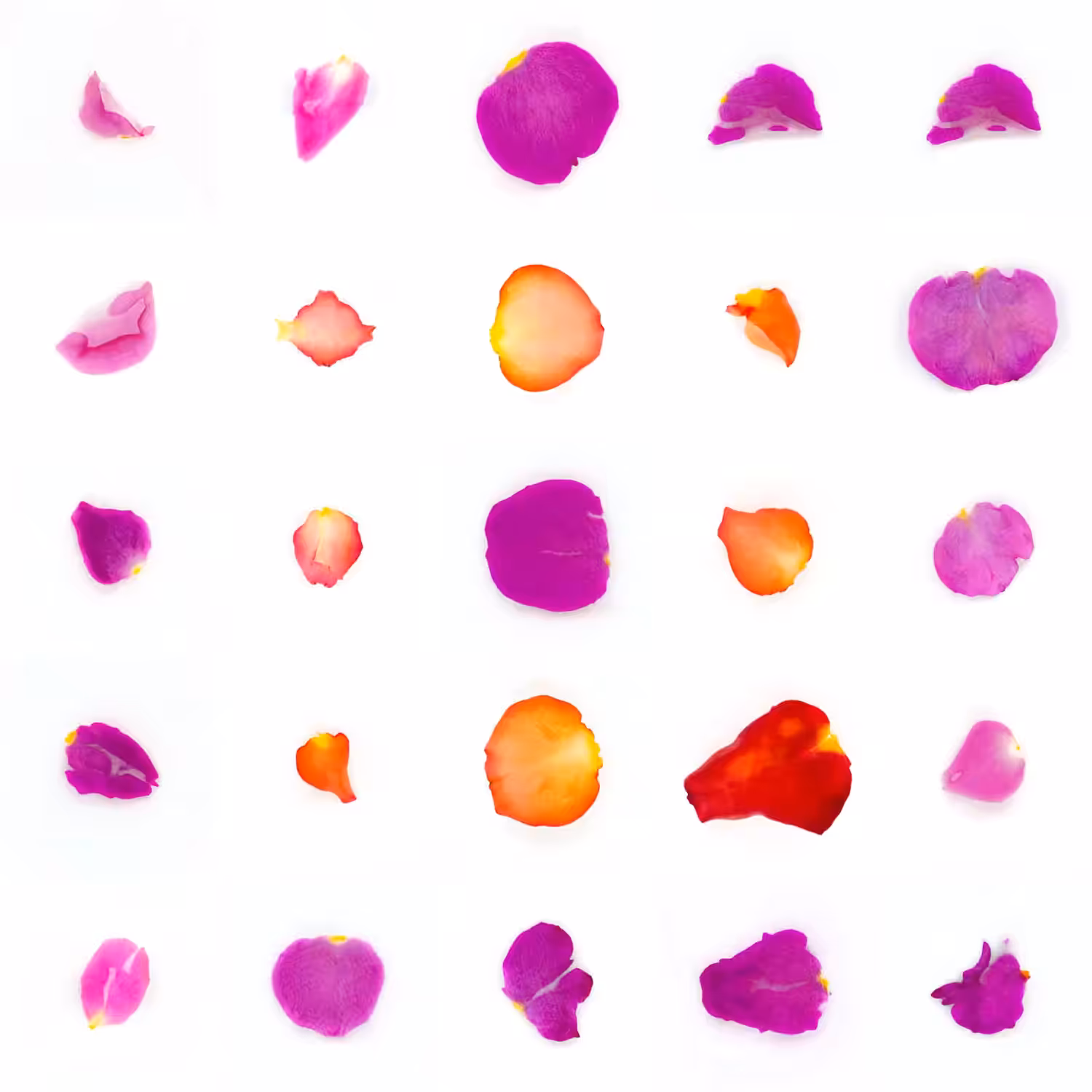 Infinite Petals 5x5#20461