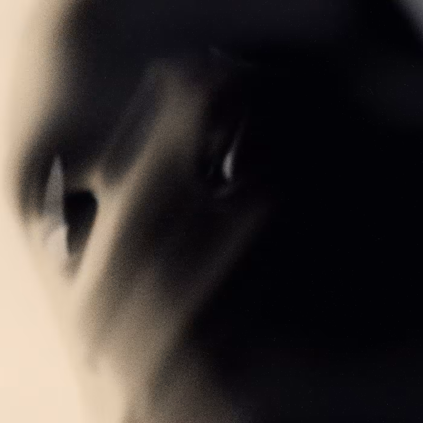 Emotional Shell #349