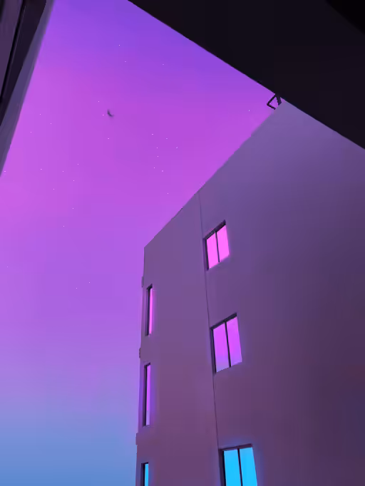 Pink & Purple World #45