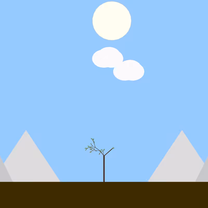 From seedling to tree #61