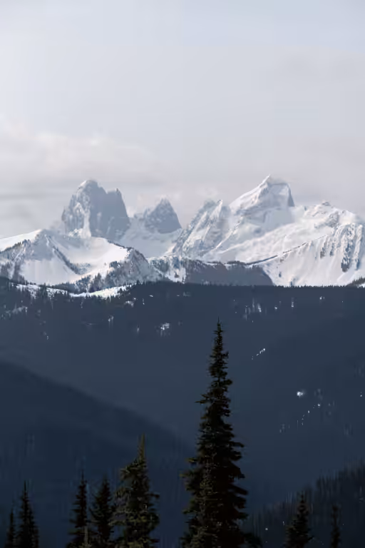 serene.