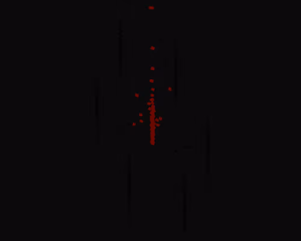 frame [004]