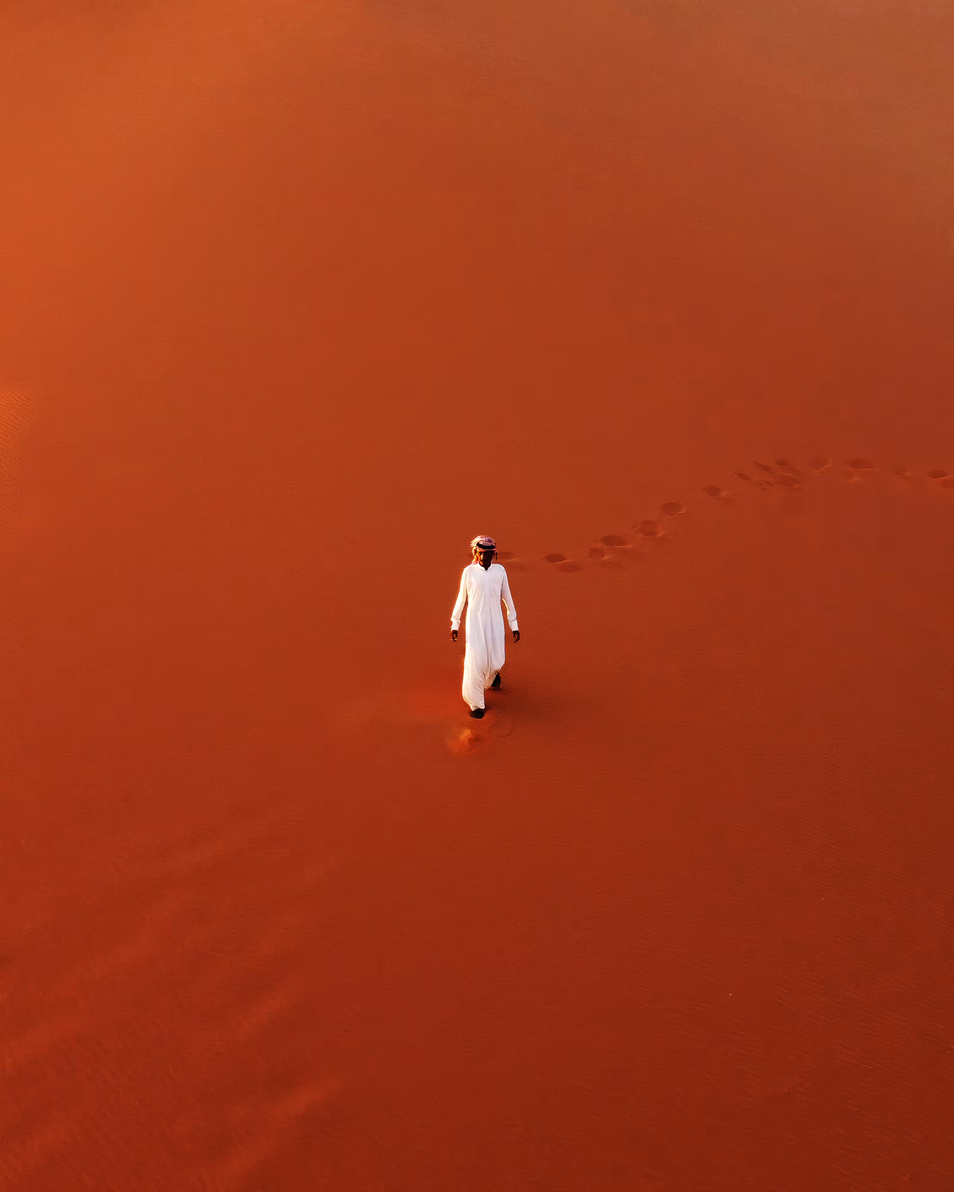 The Martian