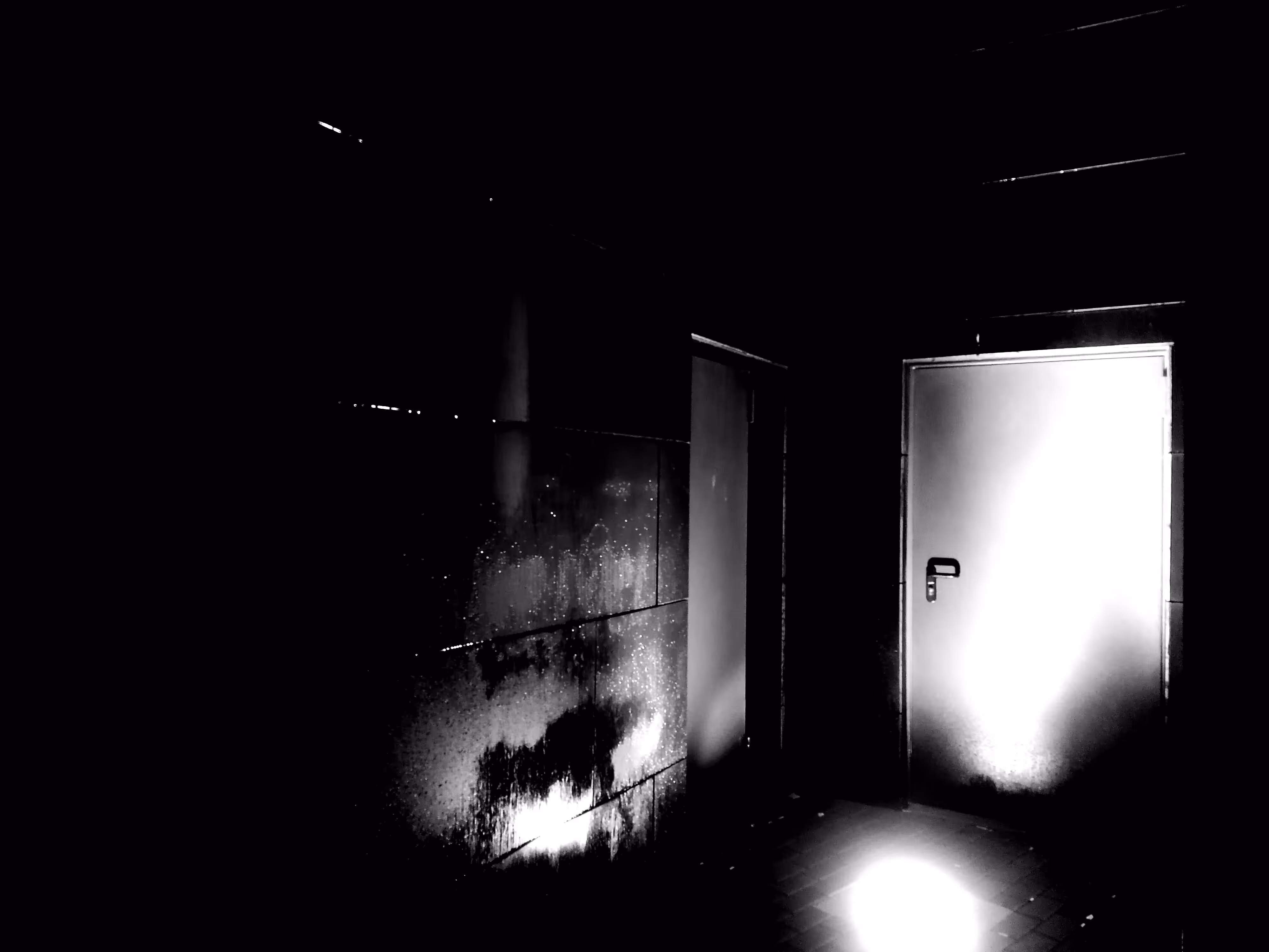 Back doors