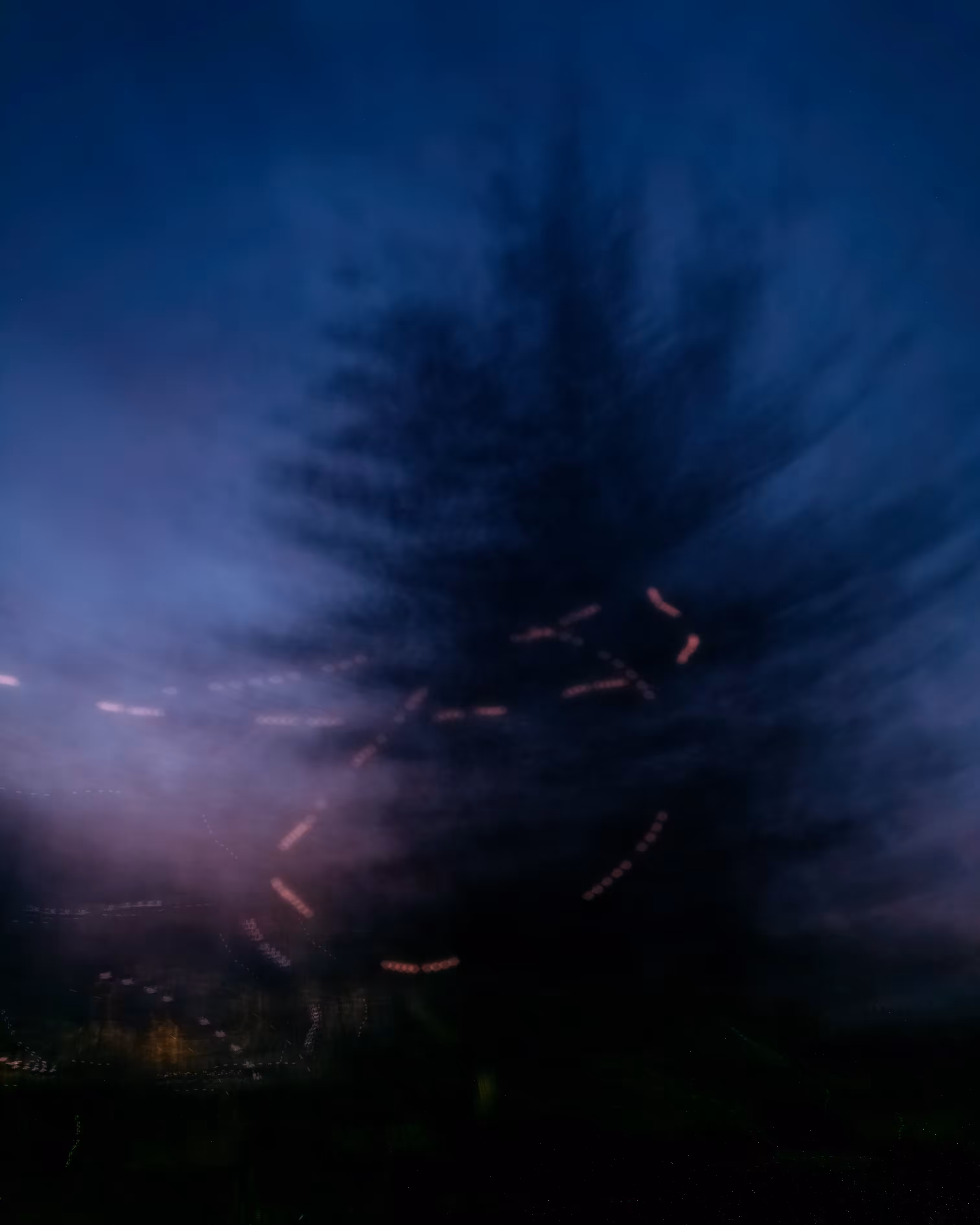Transit to the Deep Forest Woods II