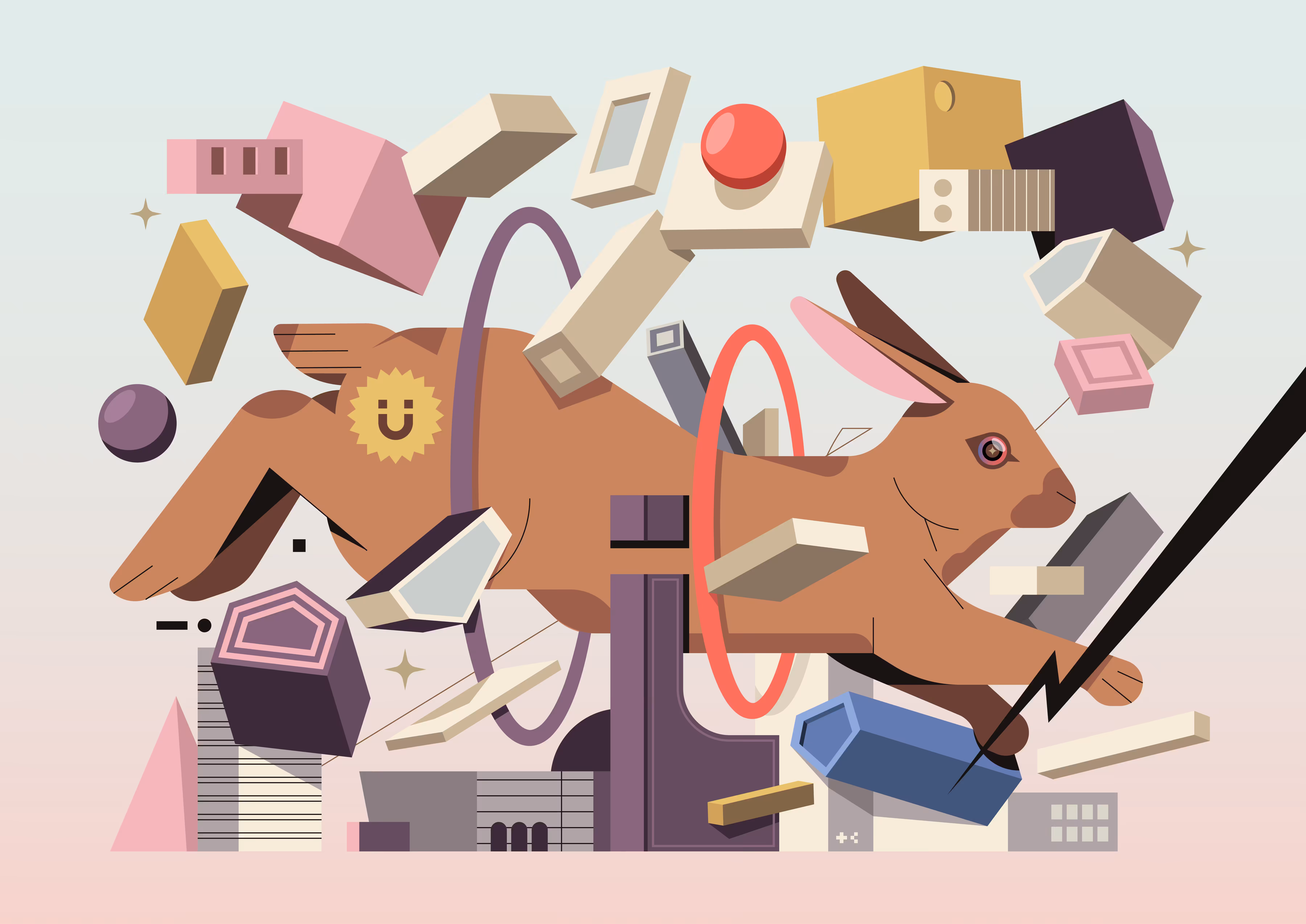 The First Rabbit