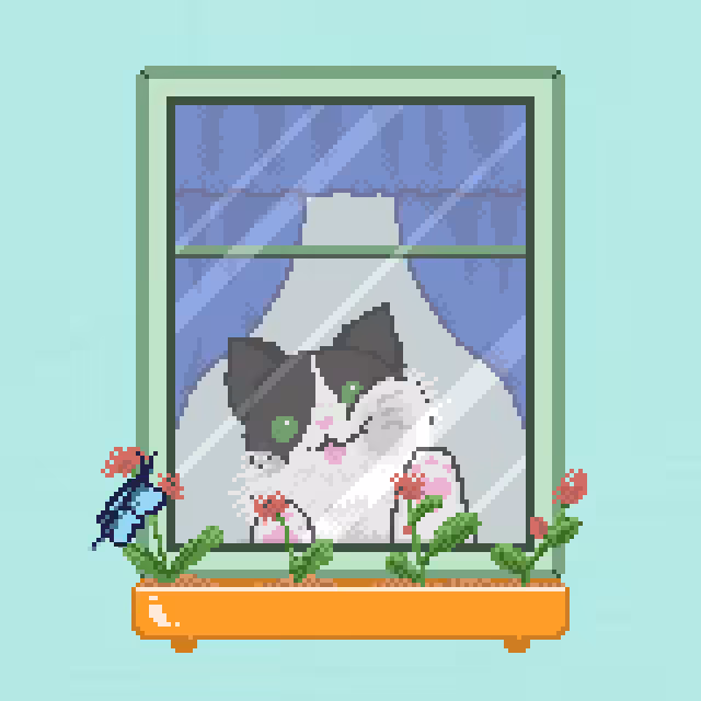 Window Catz #11