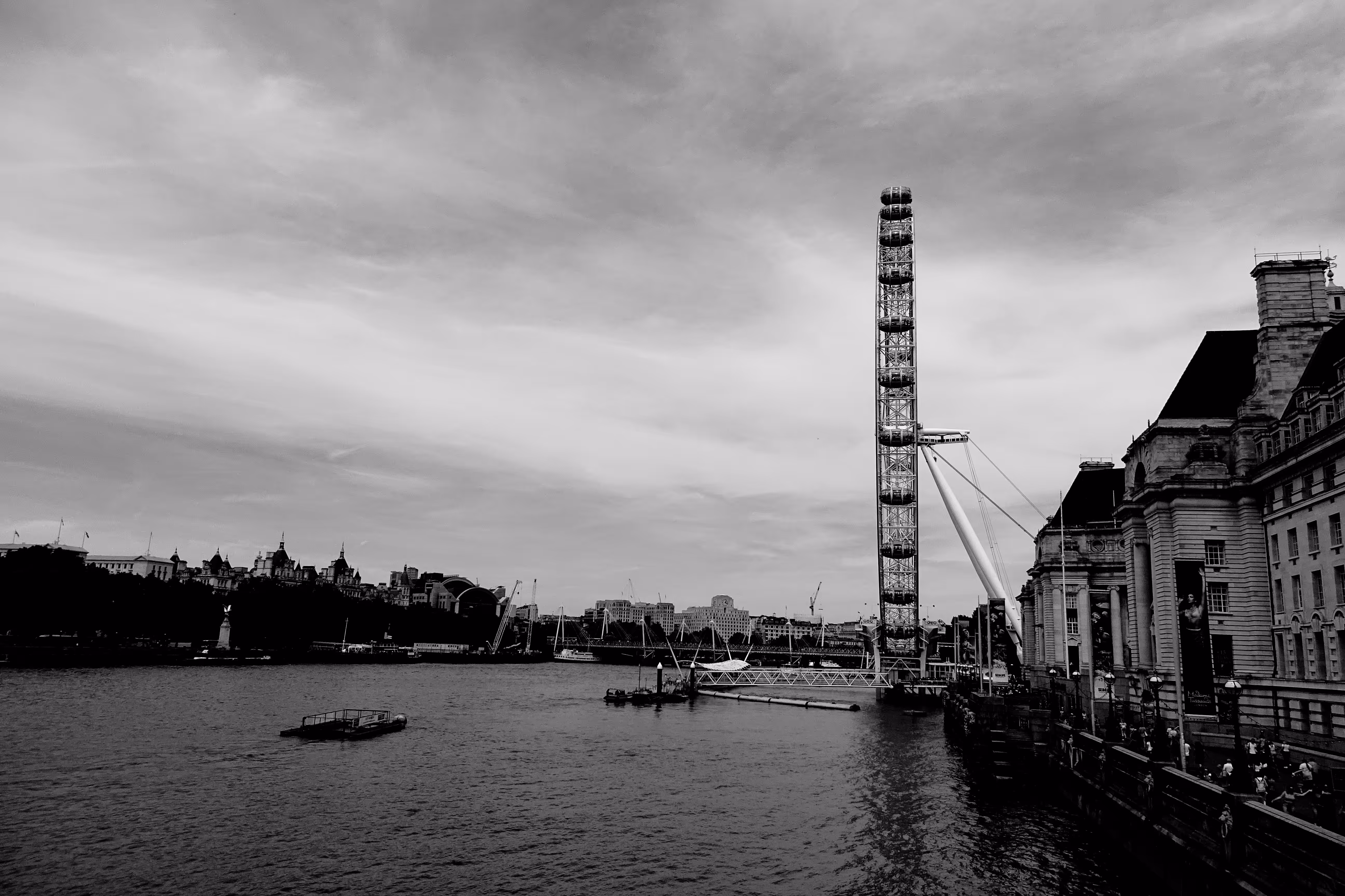 The Monochromes
