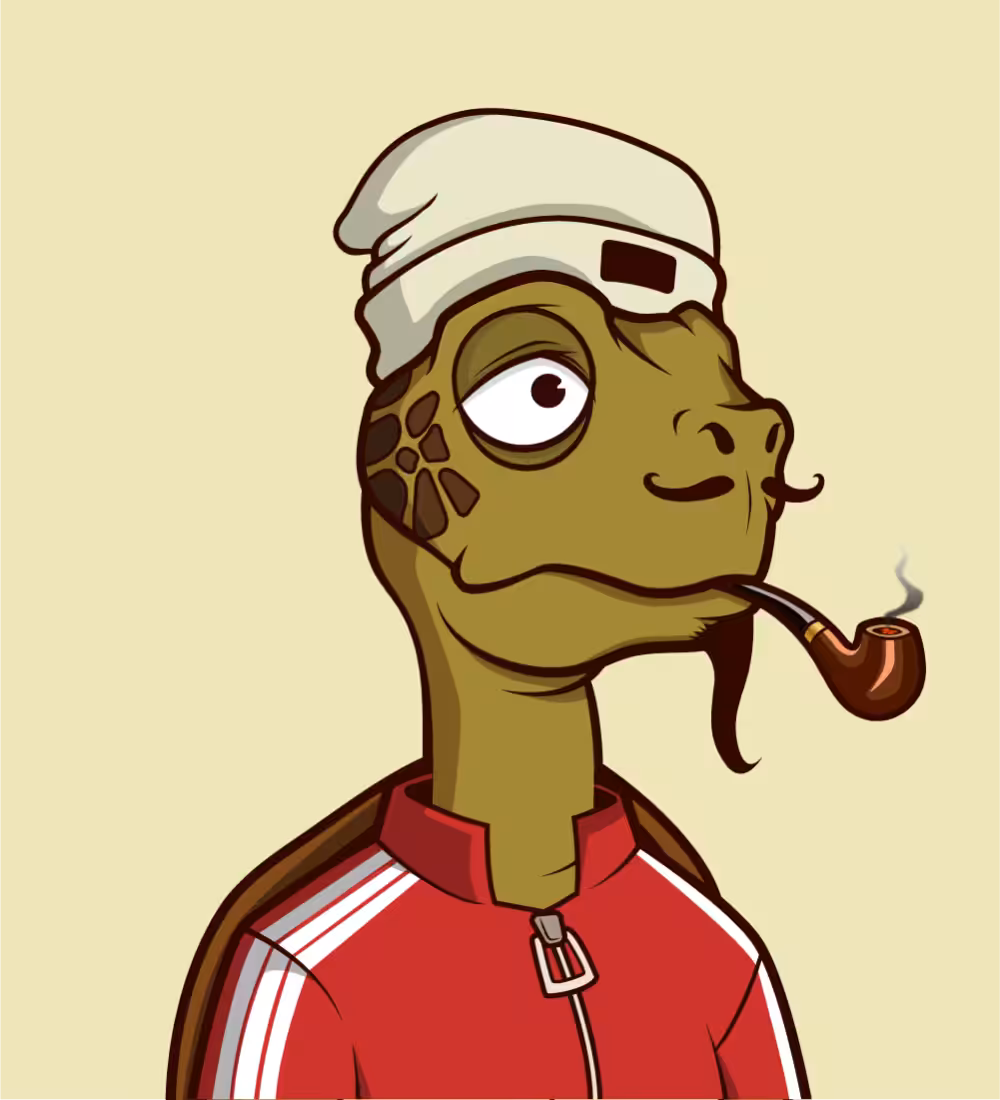 Tiny Turtle 56