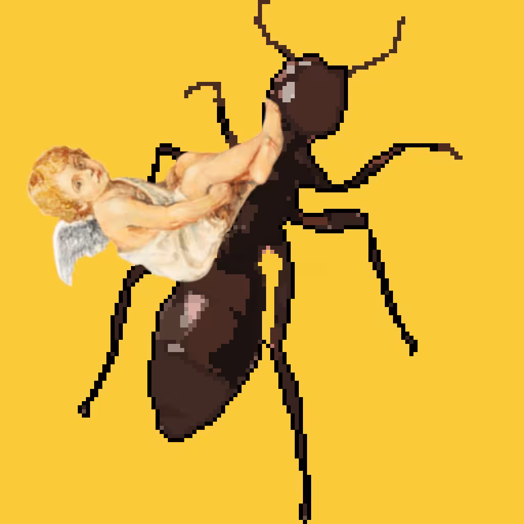 Fvcking Ant Horatio - 29 