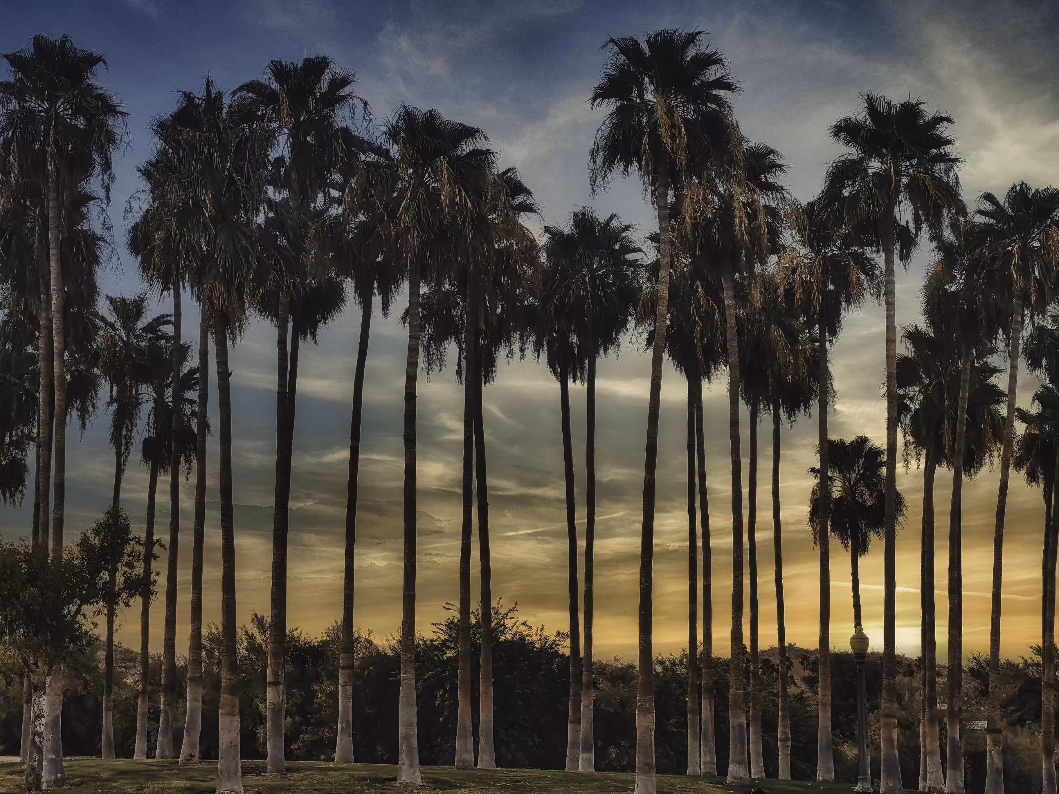 SUNSET OVER PHOENIX PALMS 🌅