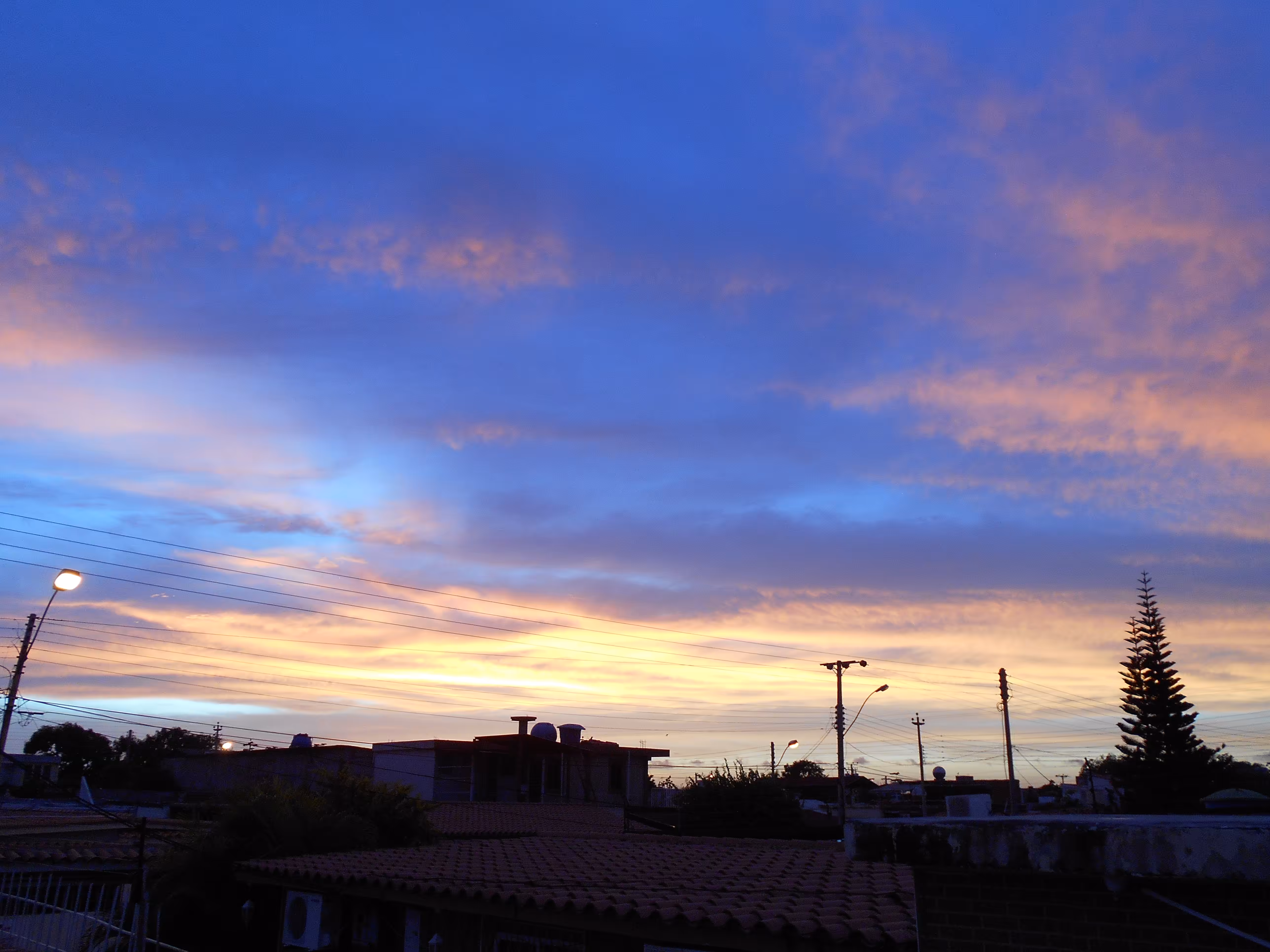 Serene Afternoon