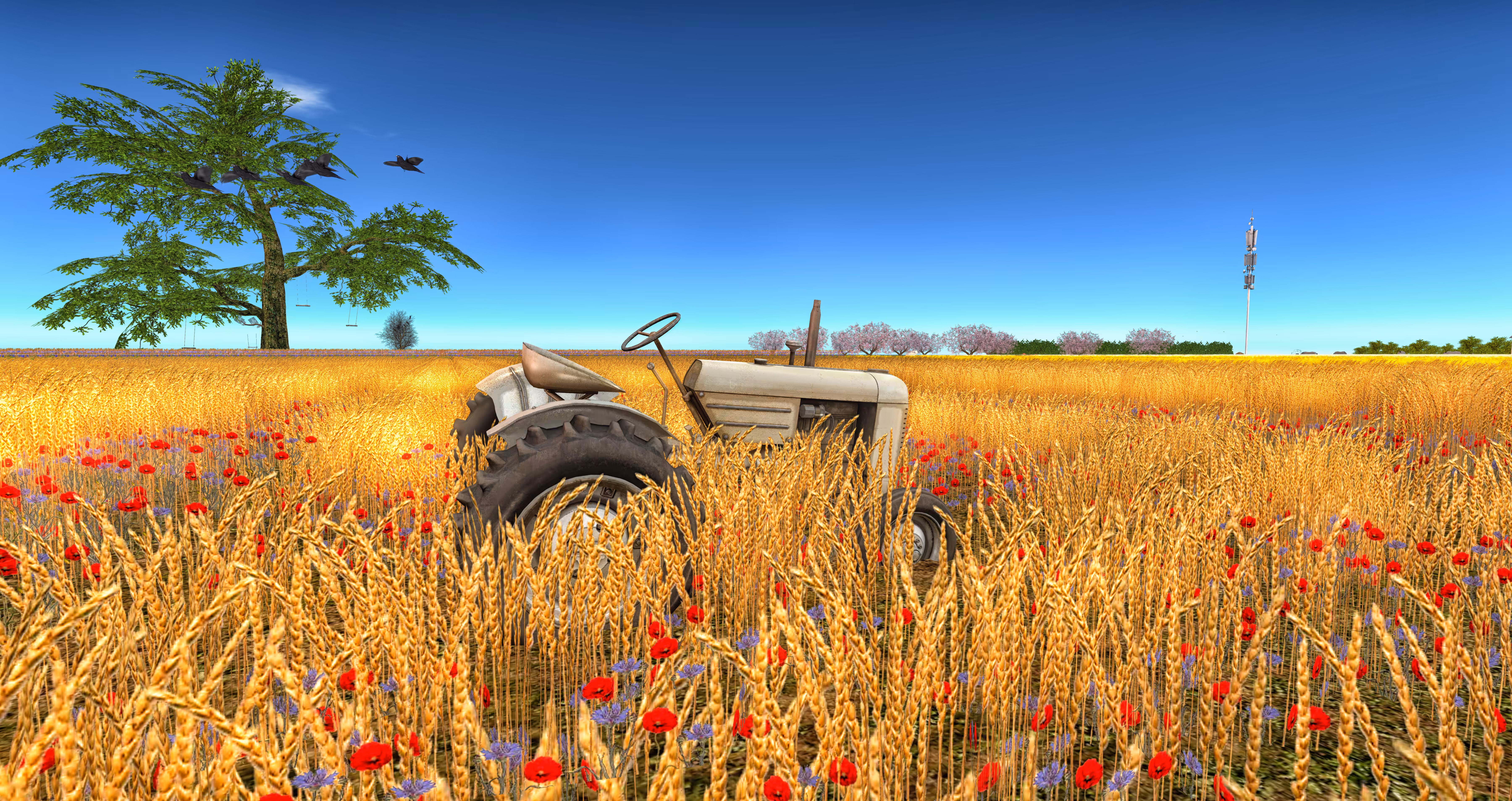 Wheat Field