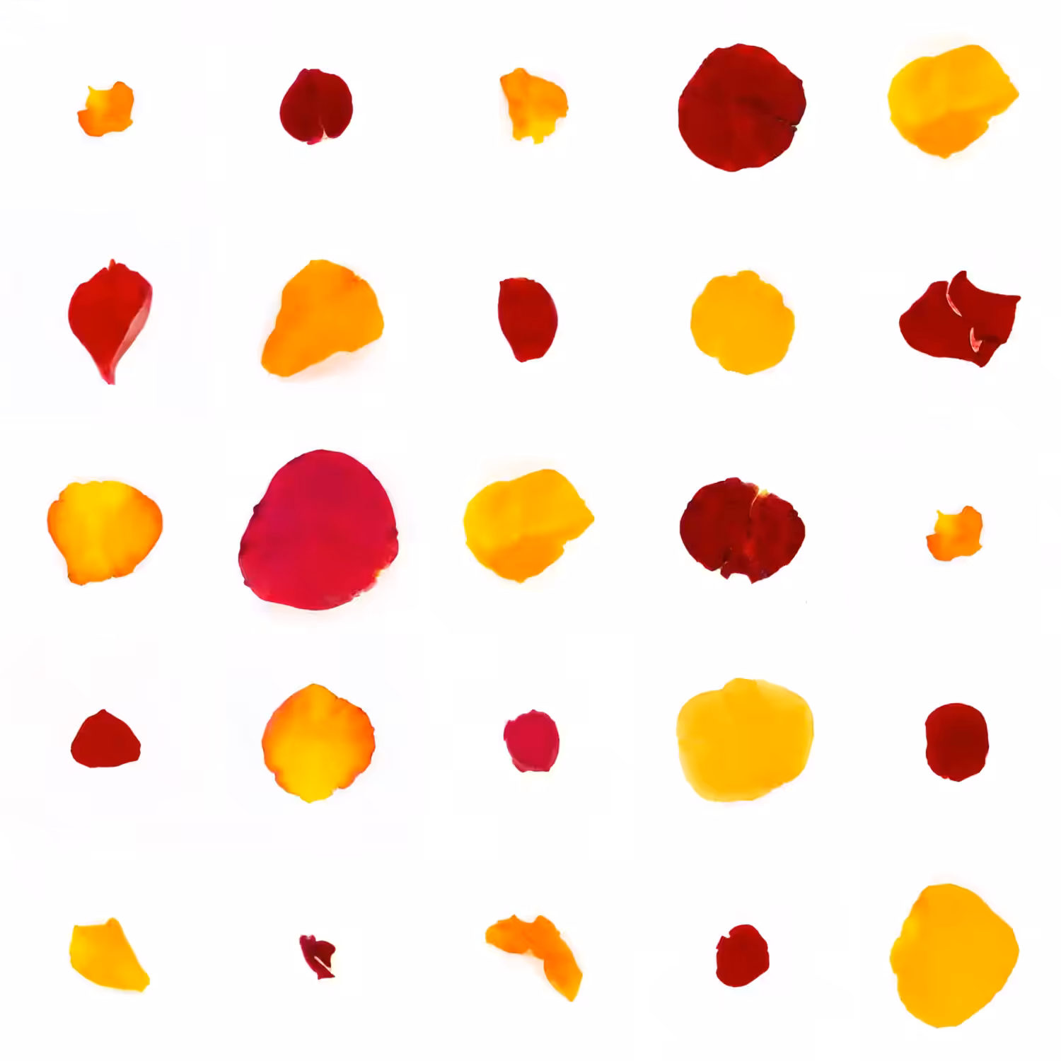 Infinite Petals 5x5#20362