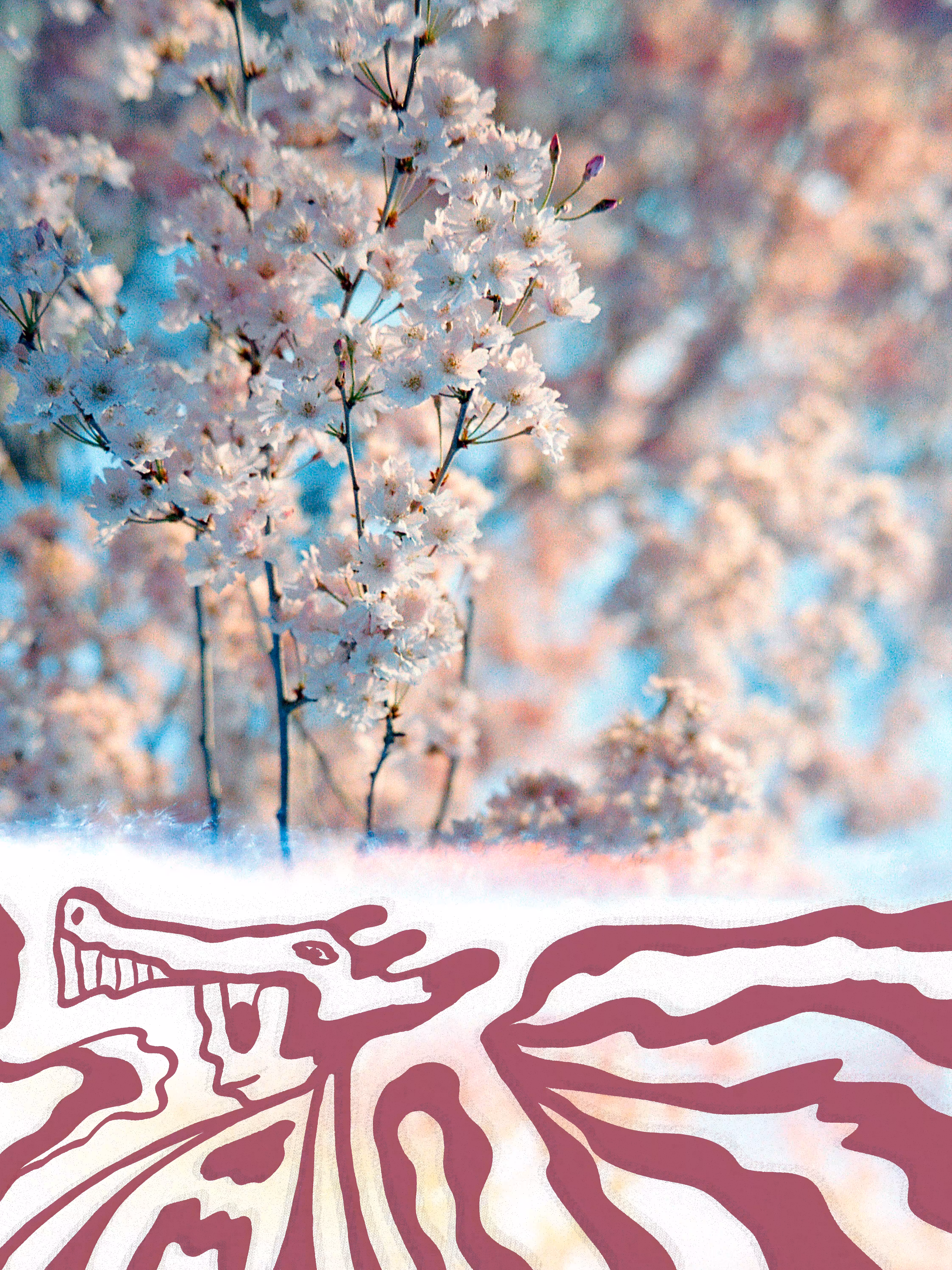 Blossom Knight