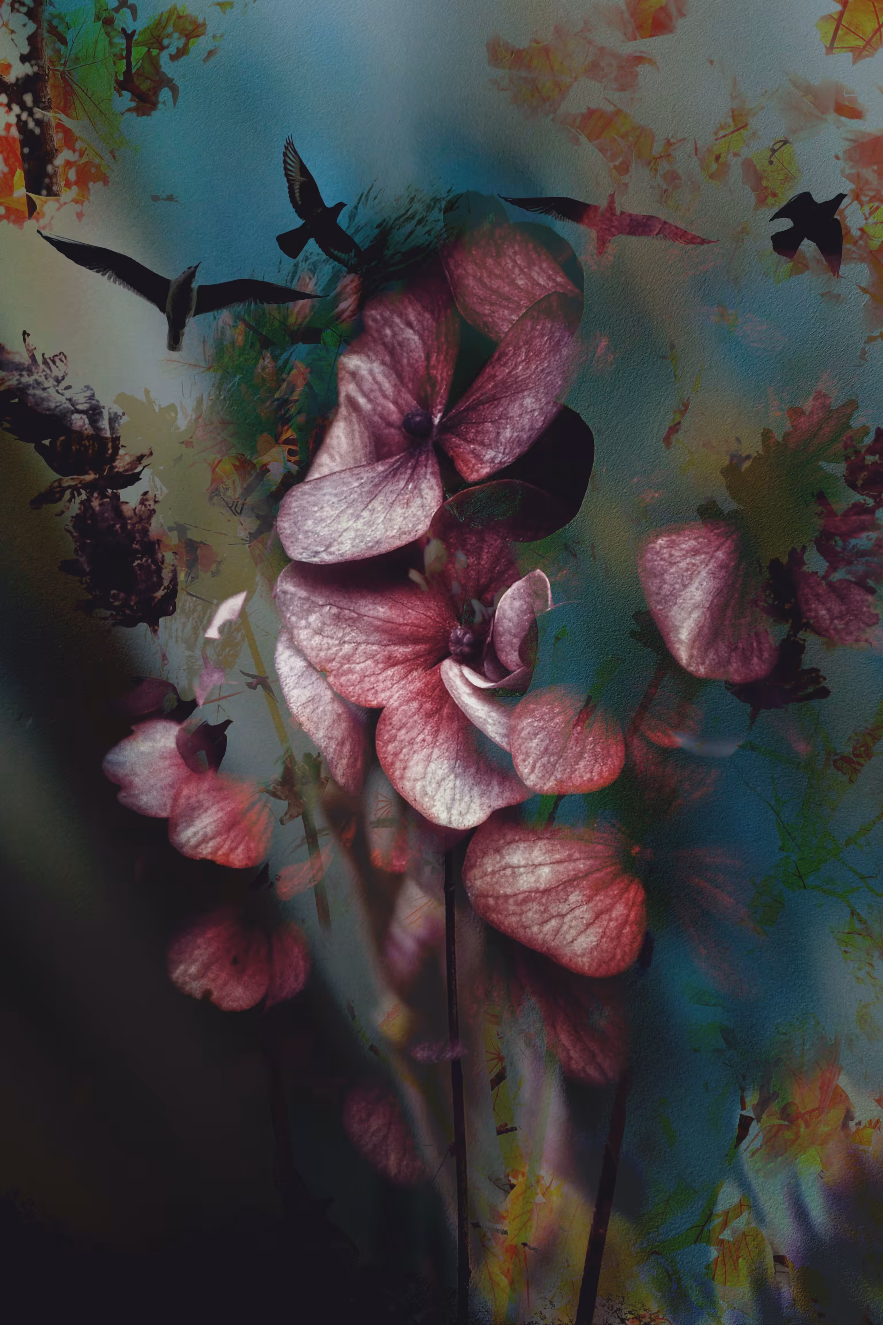 Galactic Petals