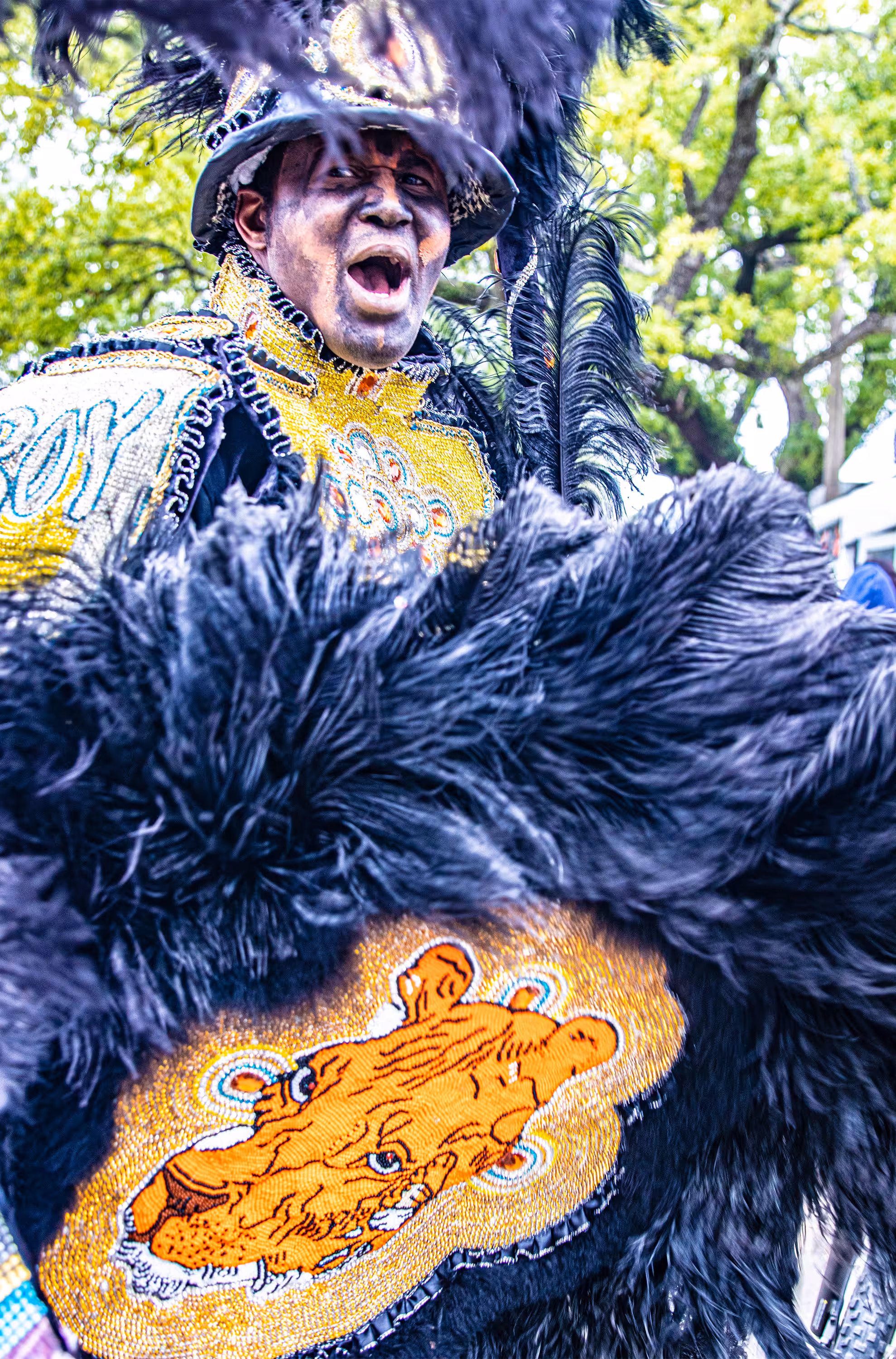 My Culture Collection #038