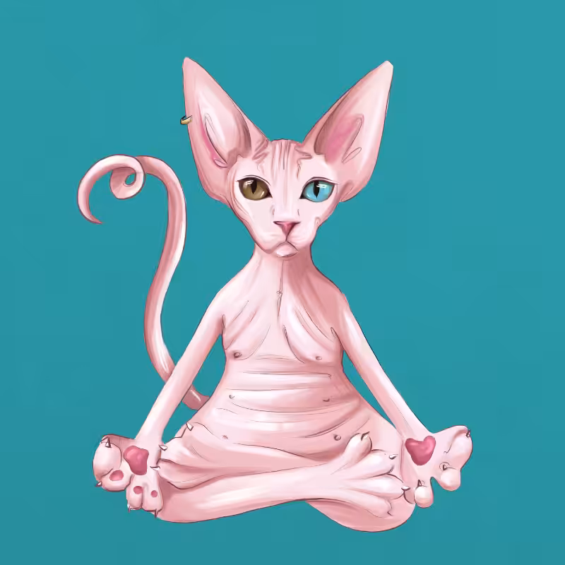 YogaCat #53