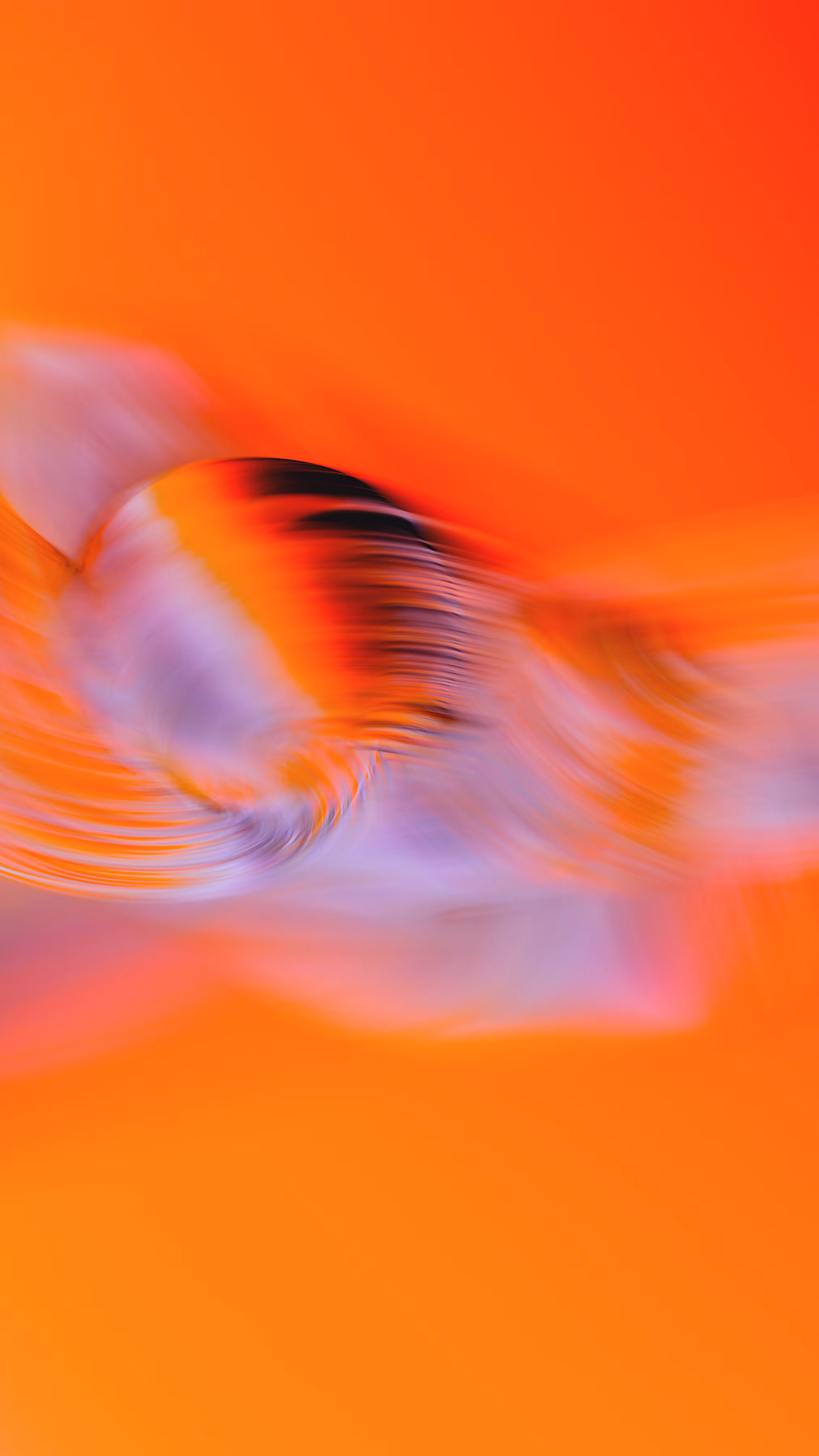 Momentum #36