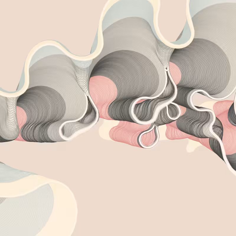 Meander River Plot v2 #163
