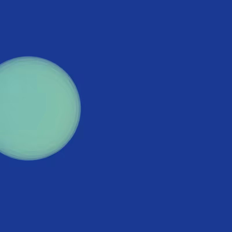 NIGHT & DAY #254