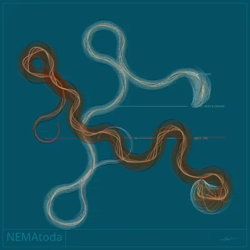 NEMA #75