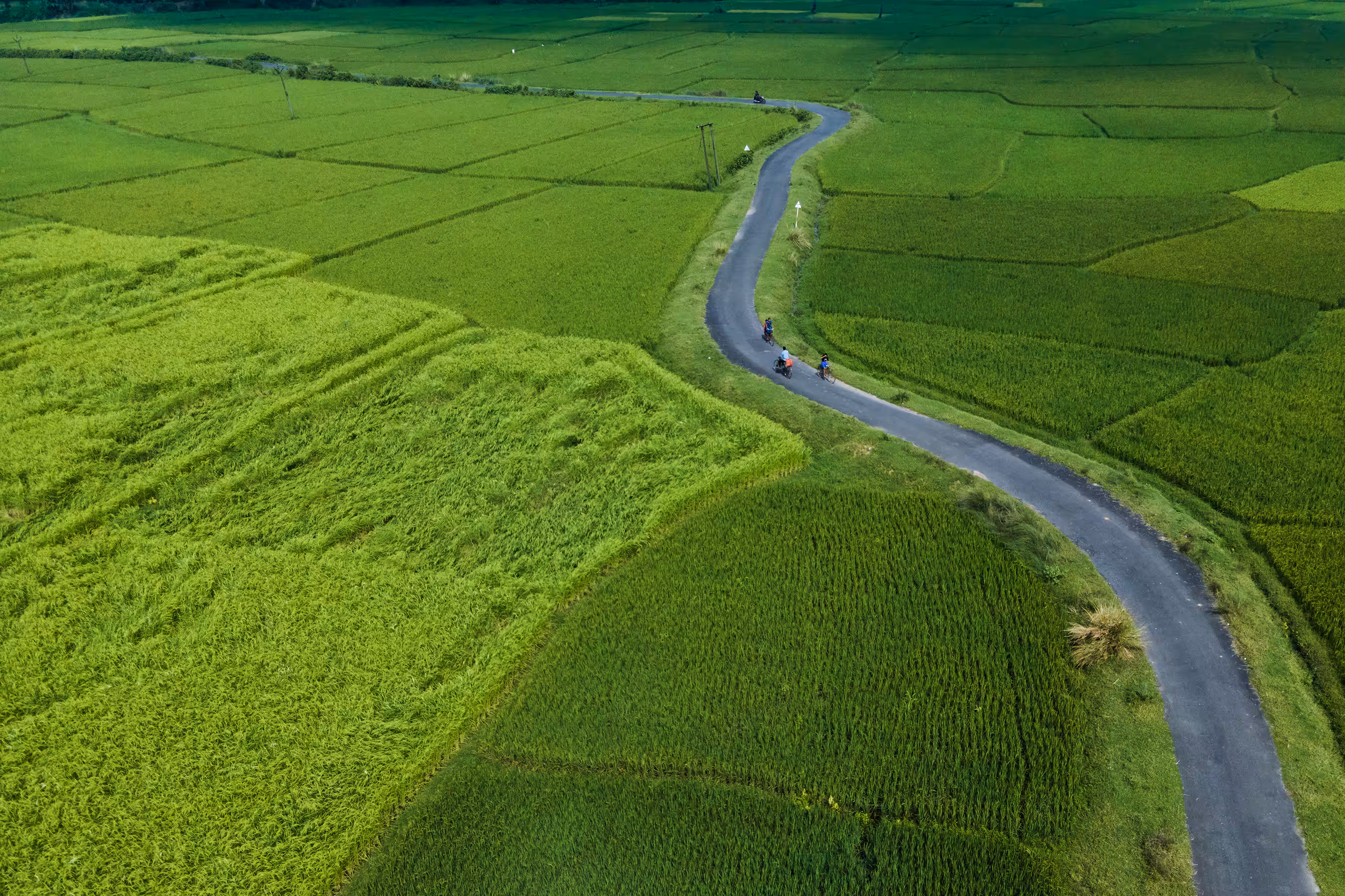The Road in Green 