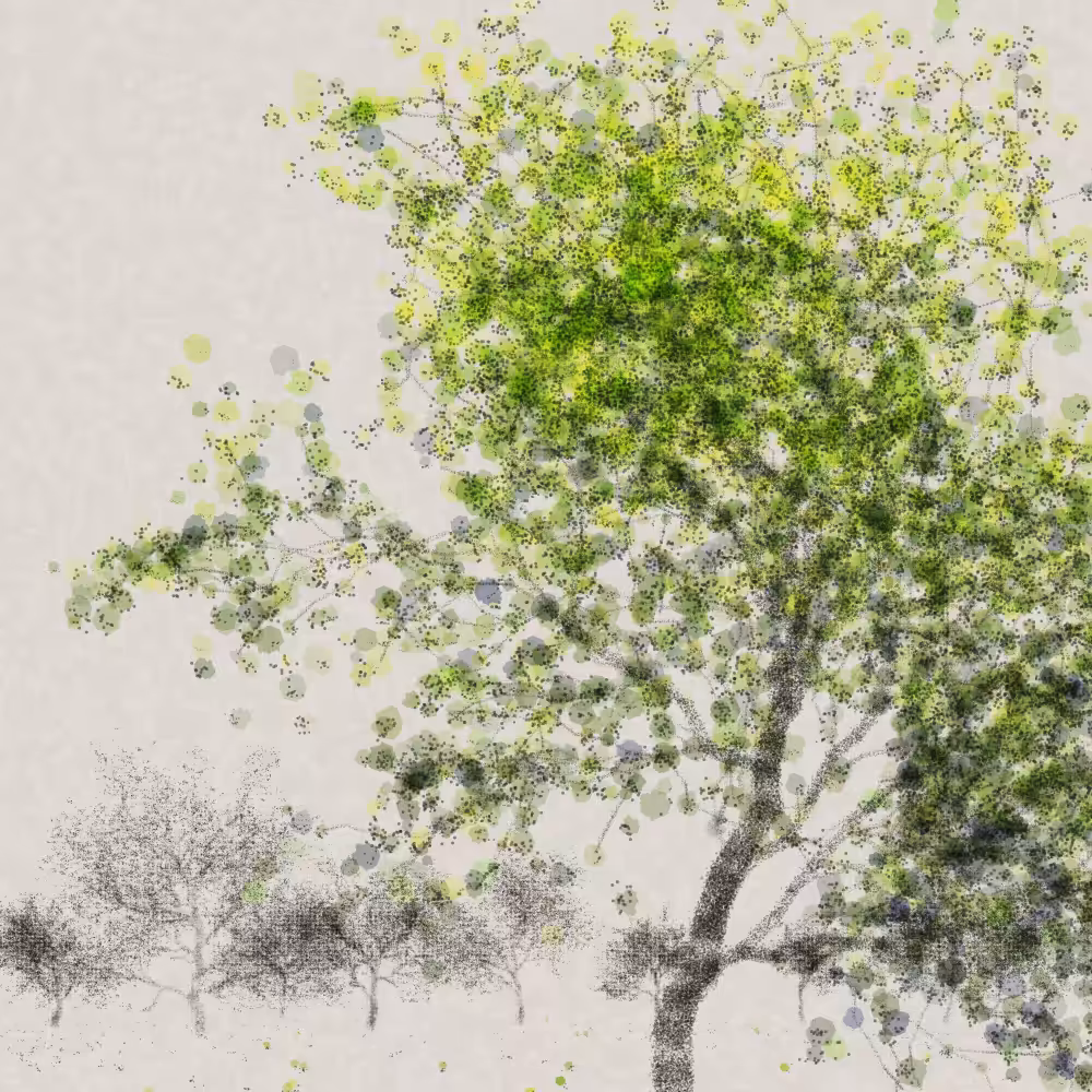 Grove #49