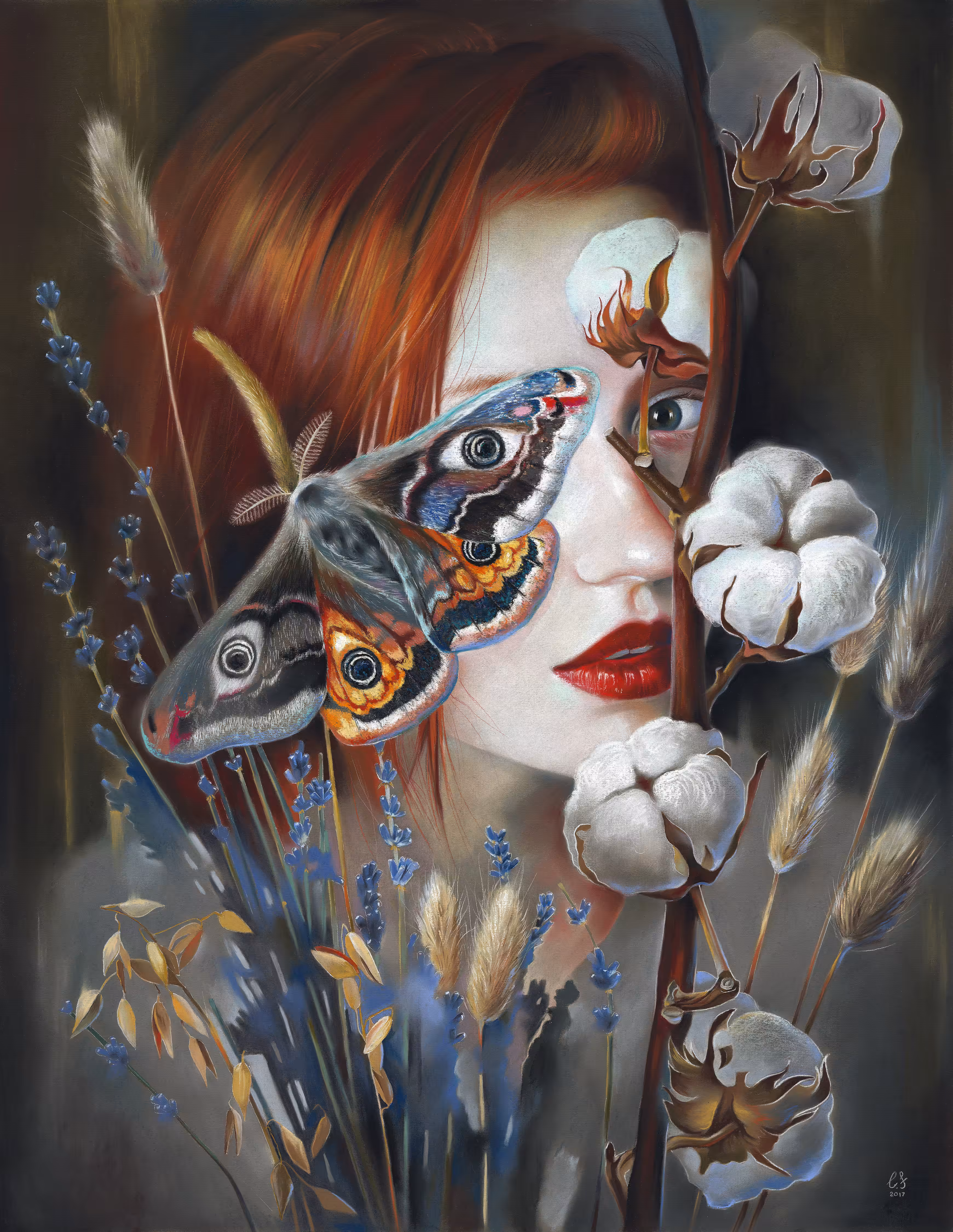 Moth