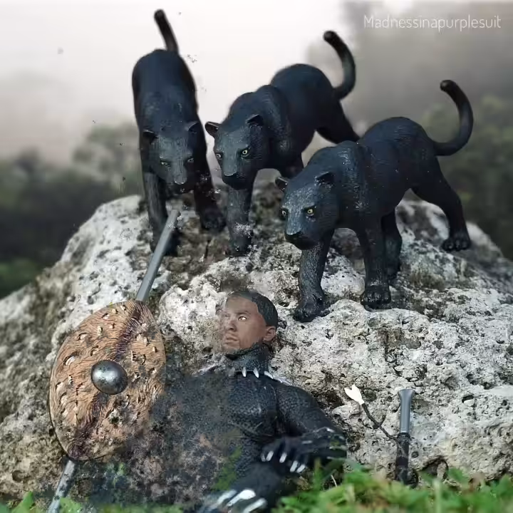 #29 - Black Panther 