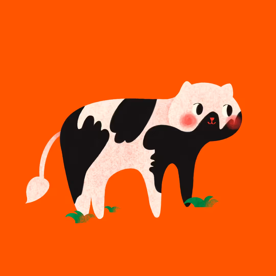 Cow Cat